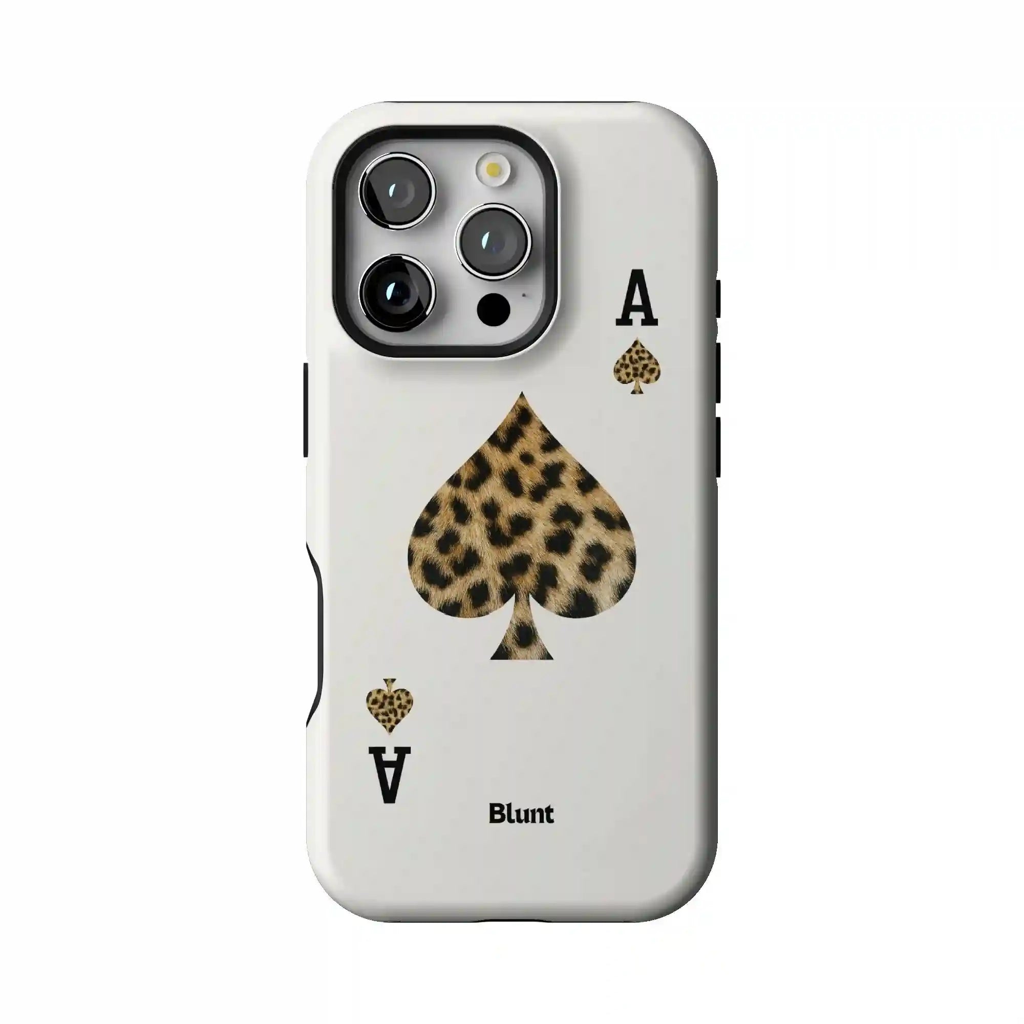 bluntcasesonline.com