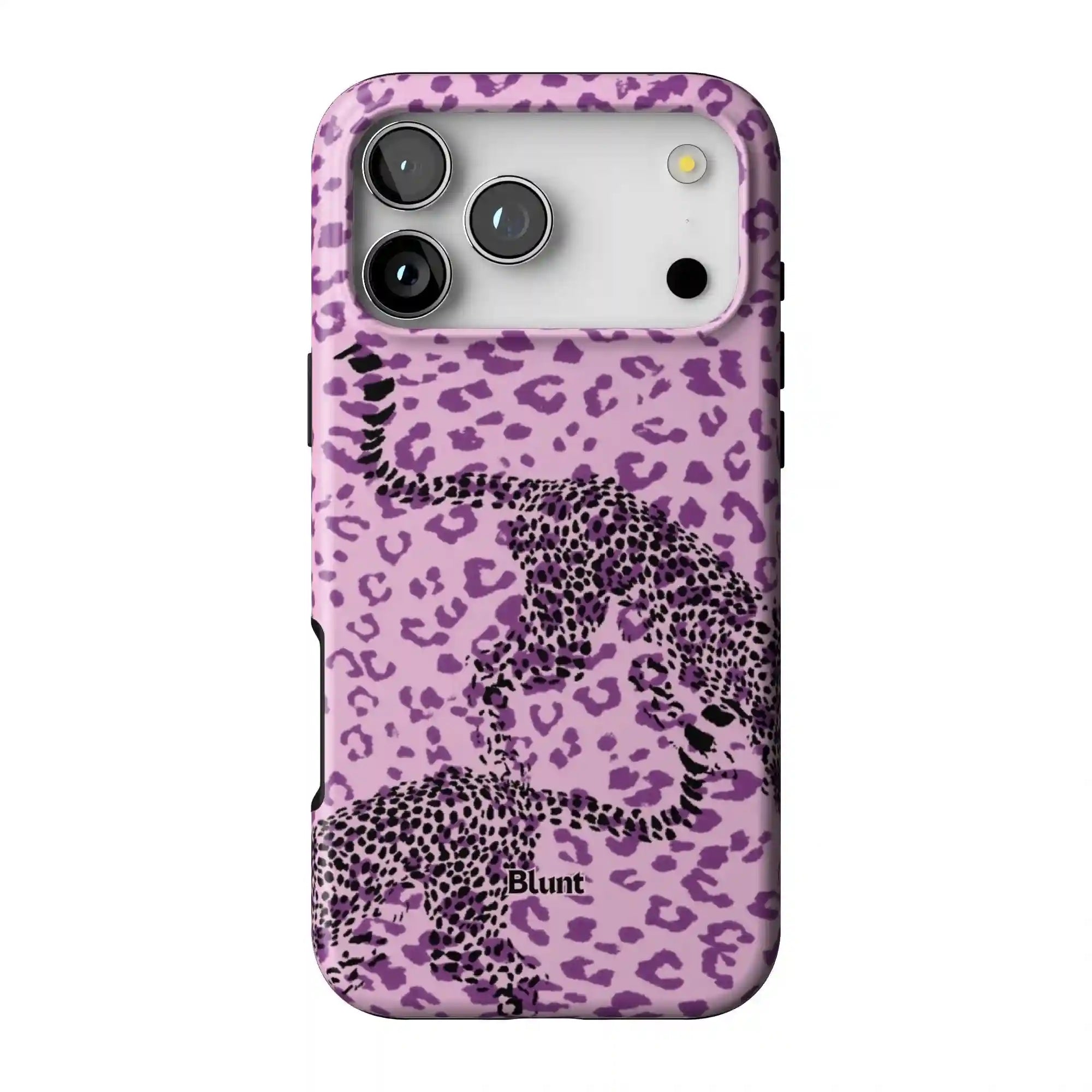 bluntcasesonline.com