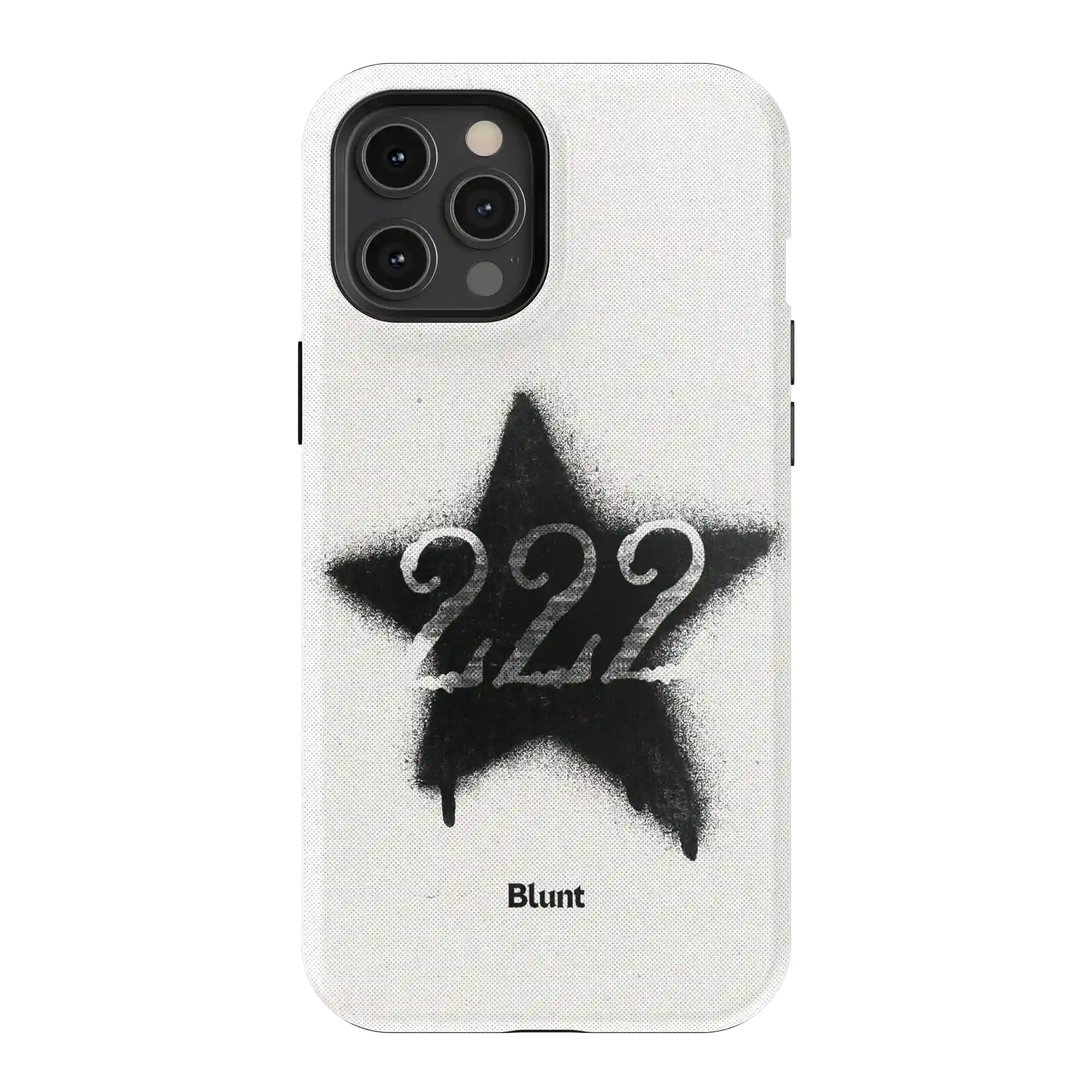 bluntcasesonline.com