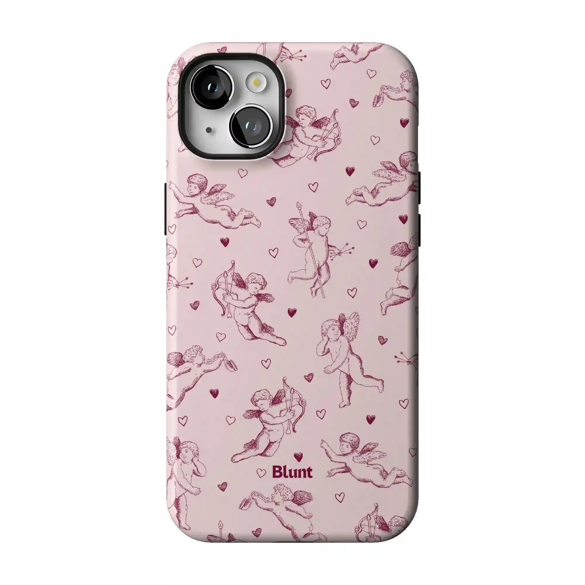 bluntcasesonline.com