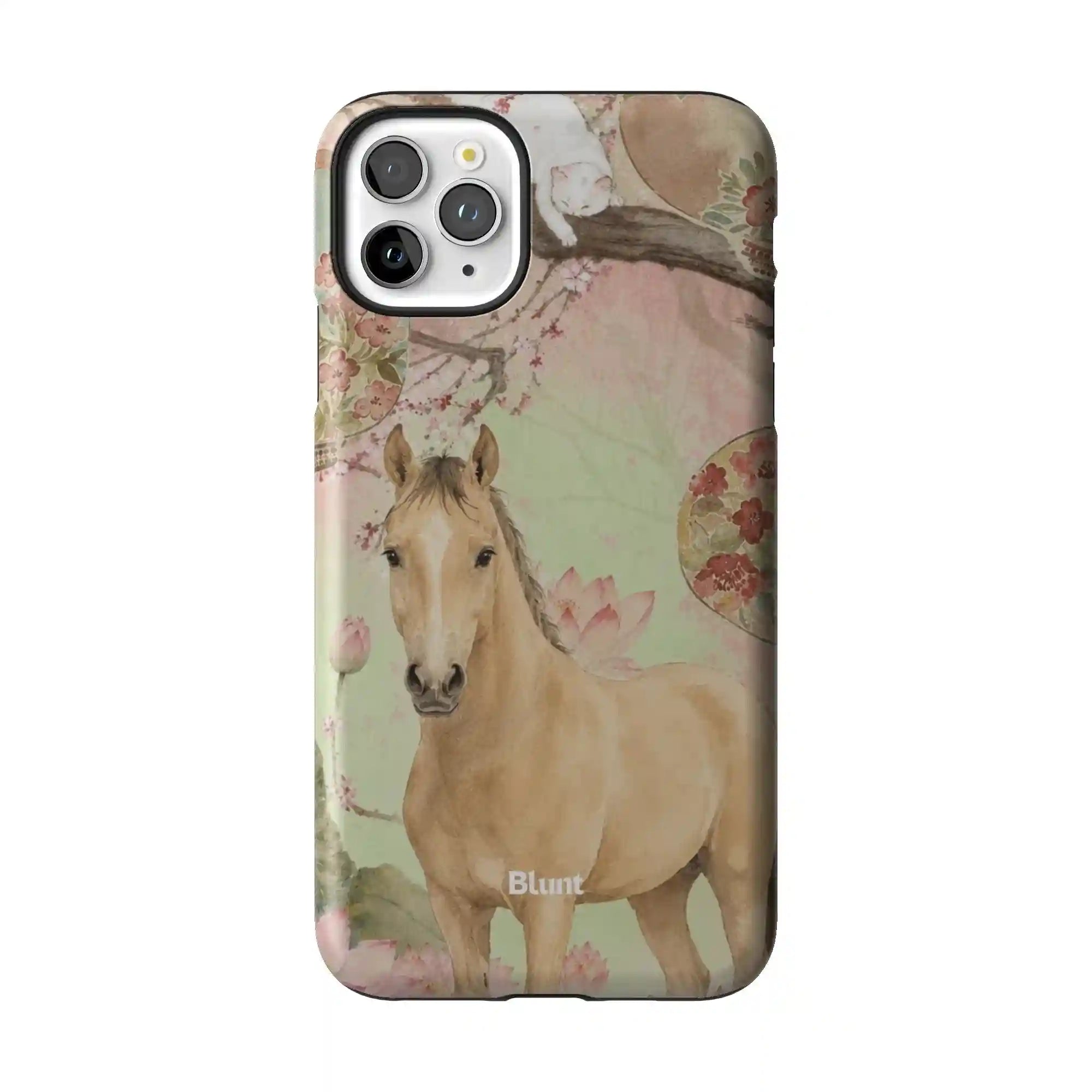 bluntcasesonline.com