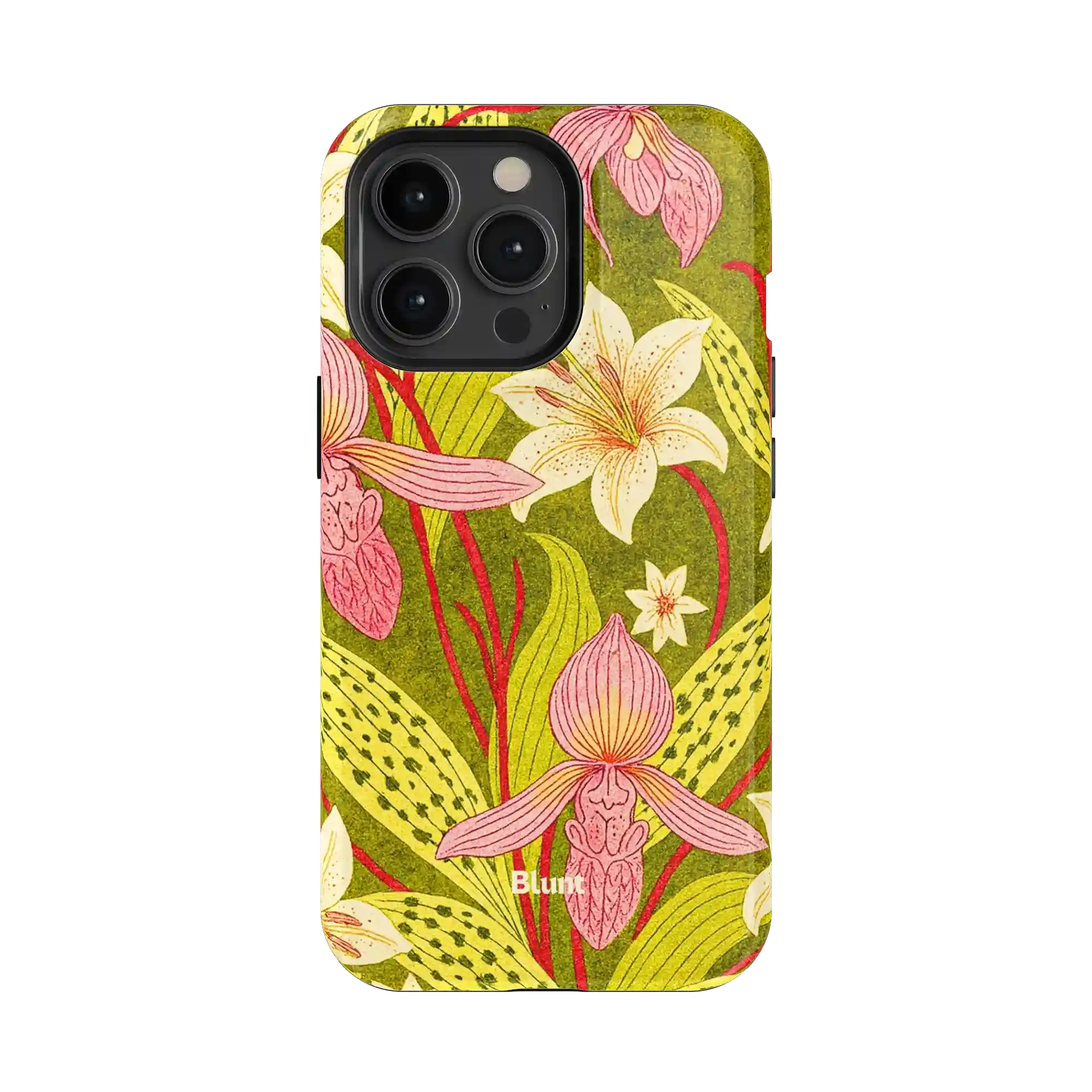 bluntcasesonline.com