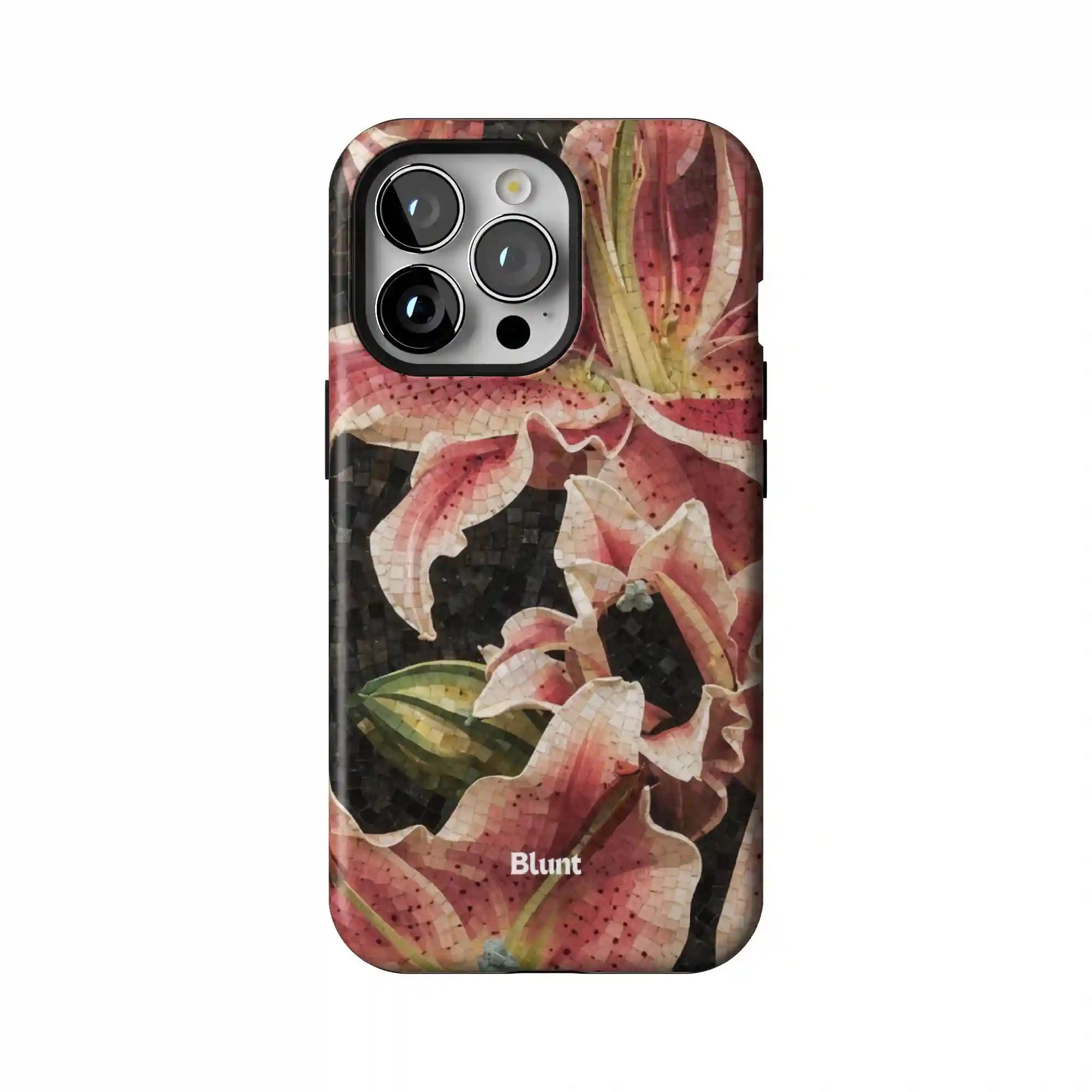 bluntcasesonline.com