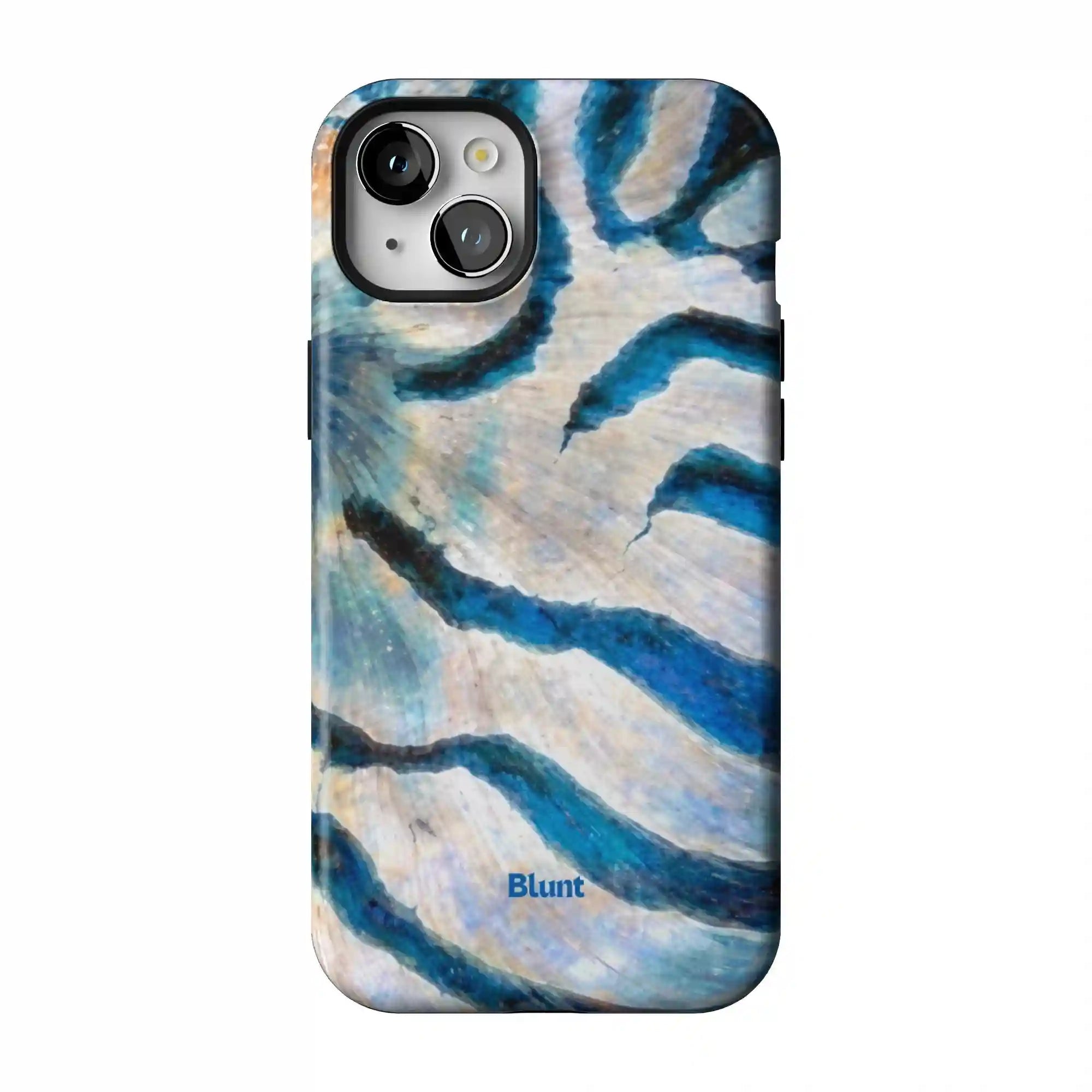 bluntcasesonline.com