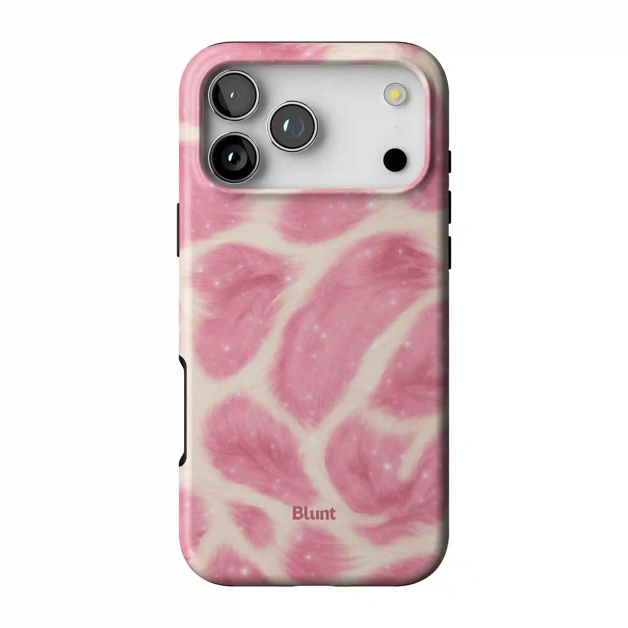 bluntcasesonline.com