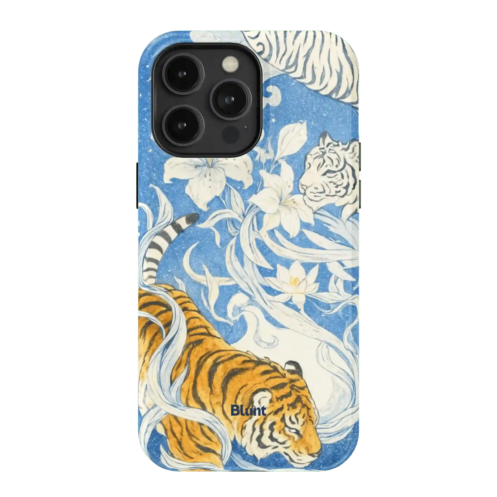bluntcasesonline.com