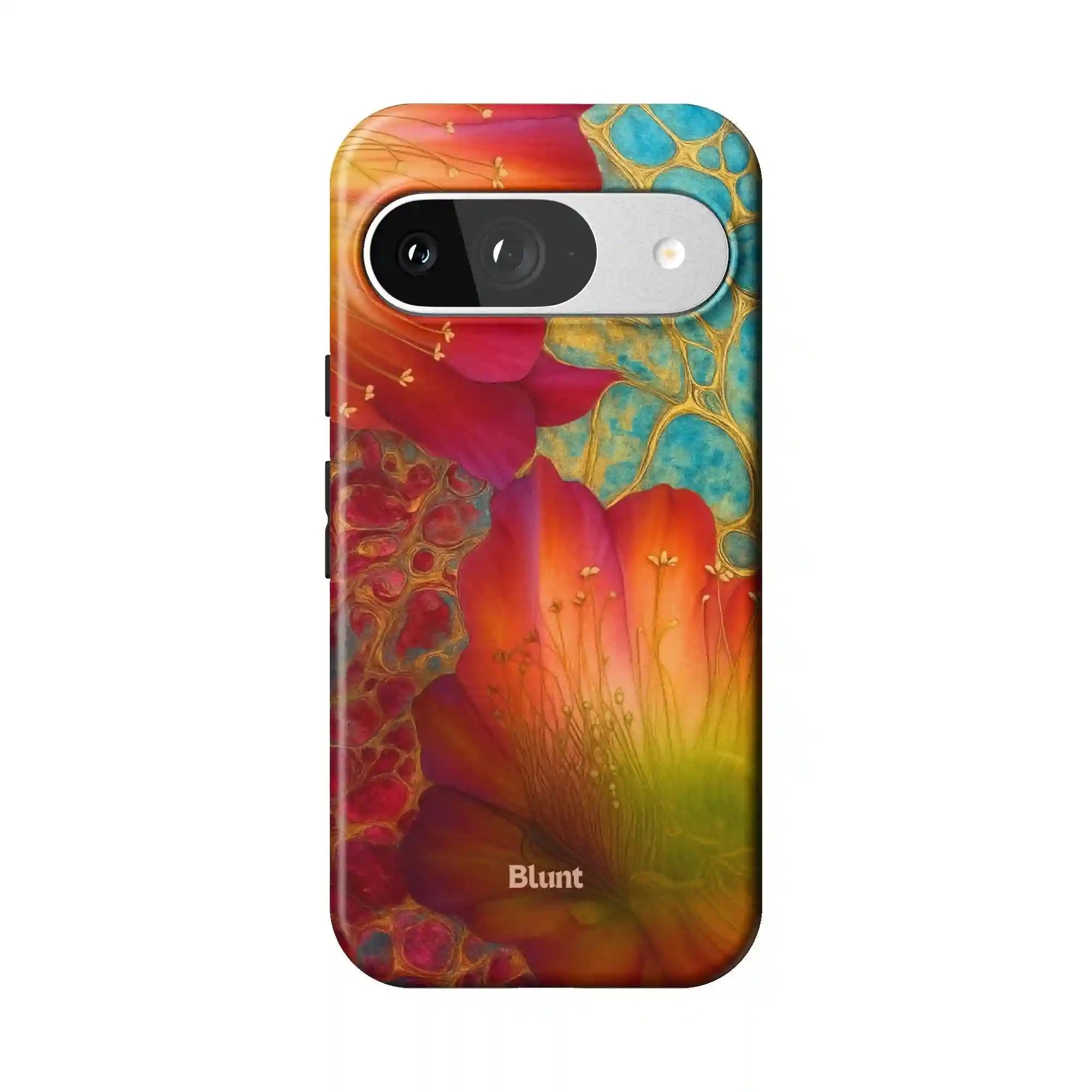 bluntcasesonline.com