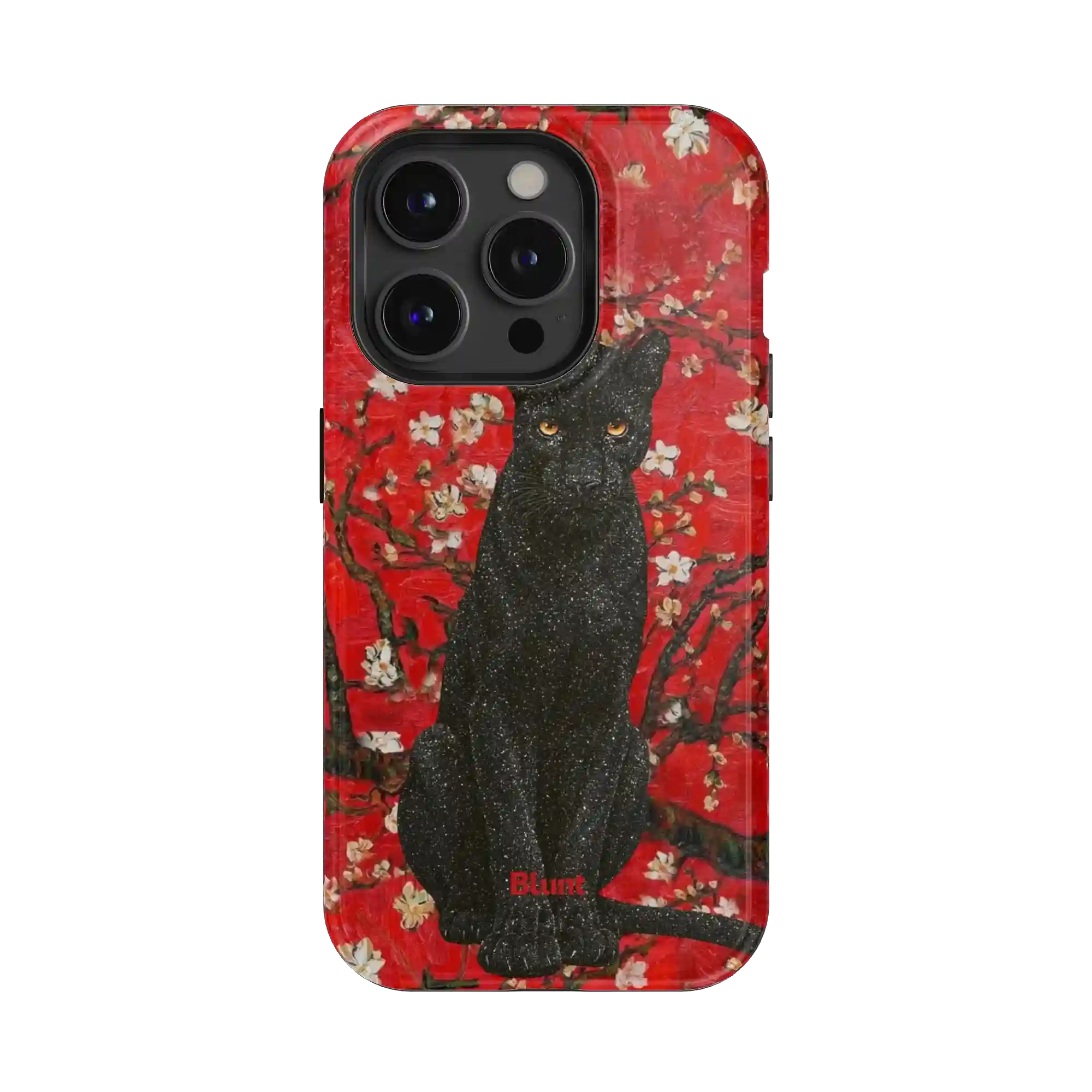 bluntcasesonline.com