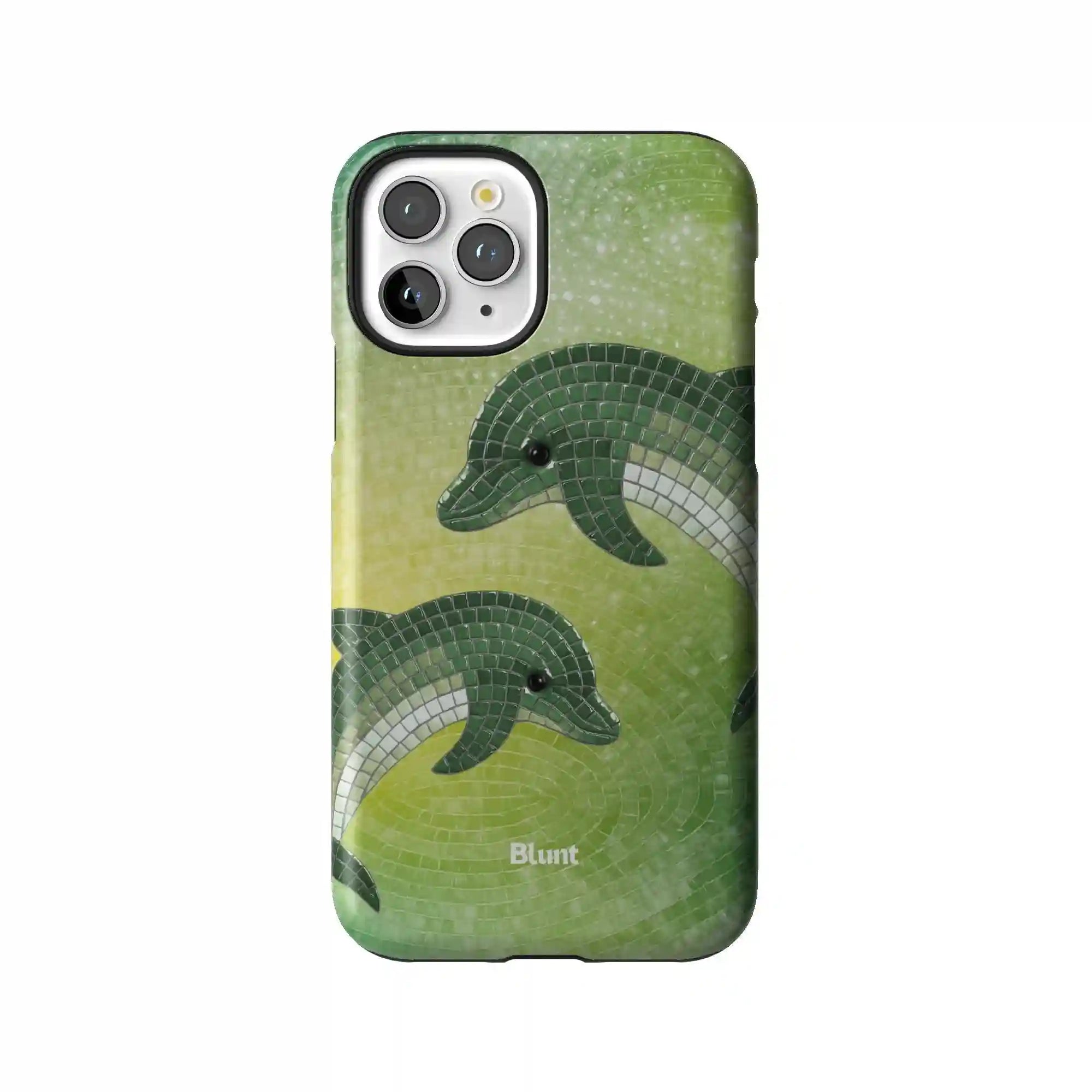 bluntcasesonline.com