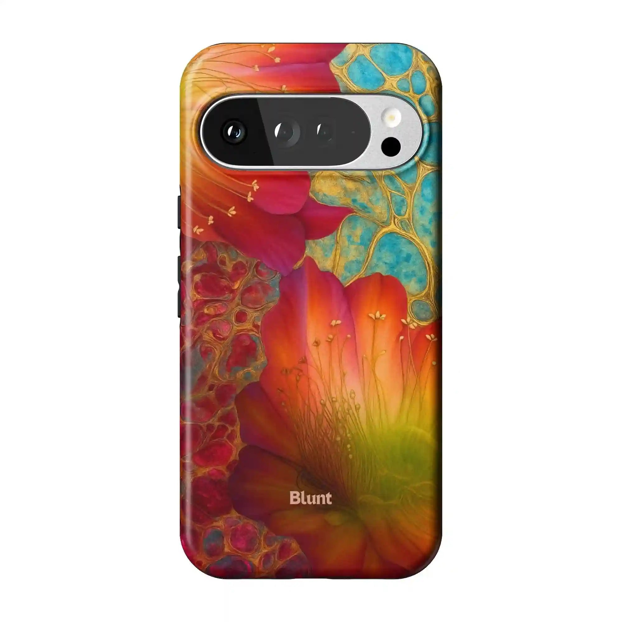 bluntcasesonline.com