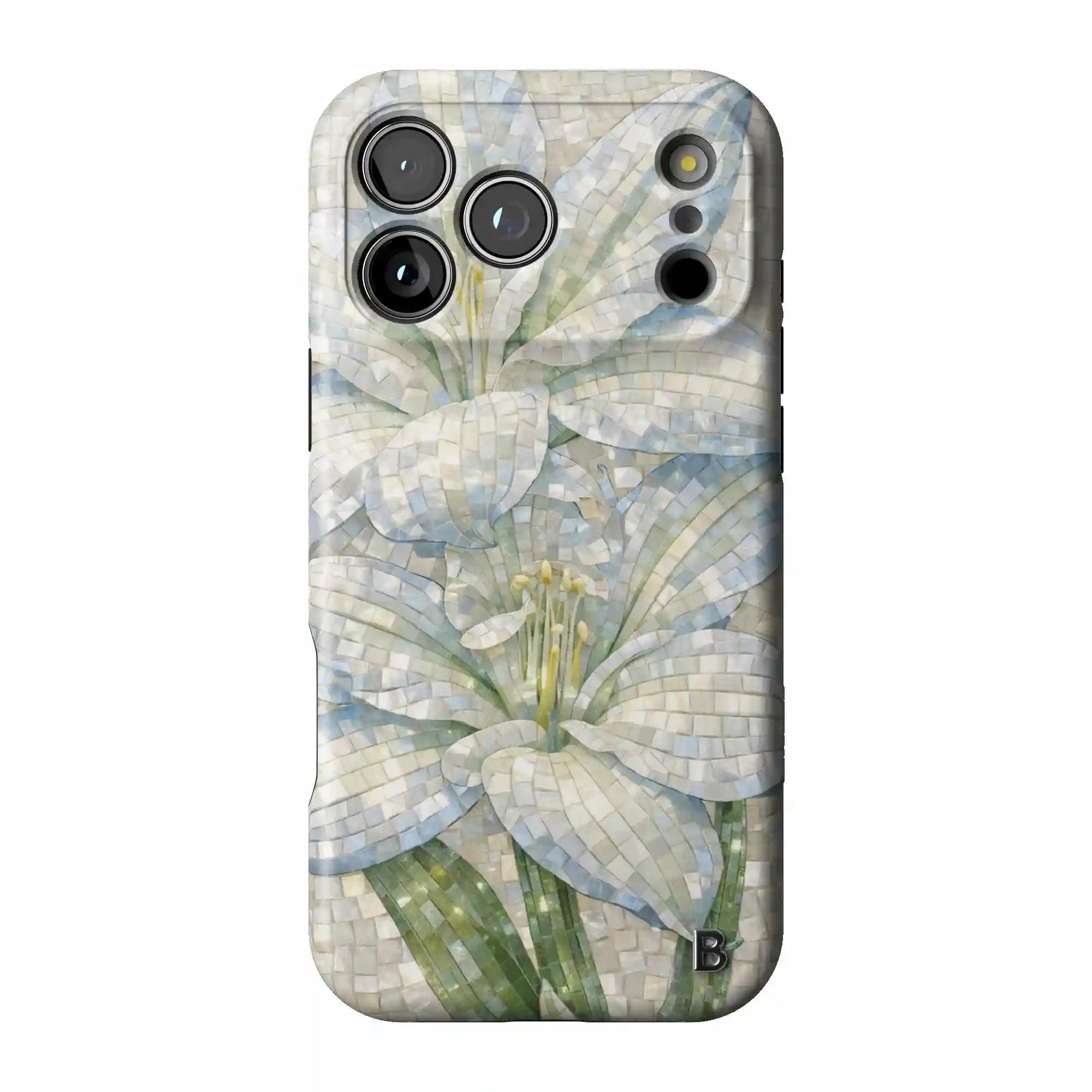 bluntcasesonline.com
