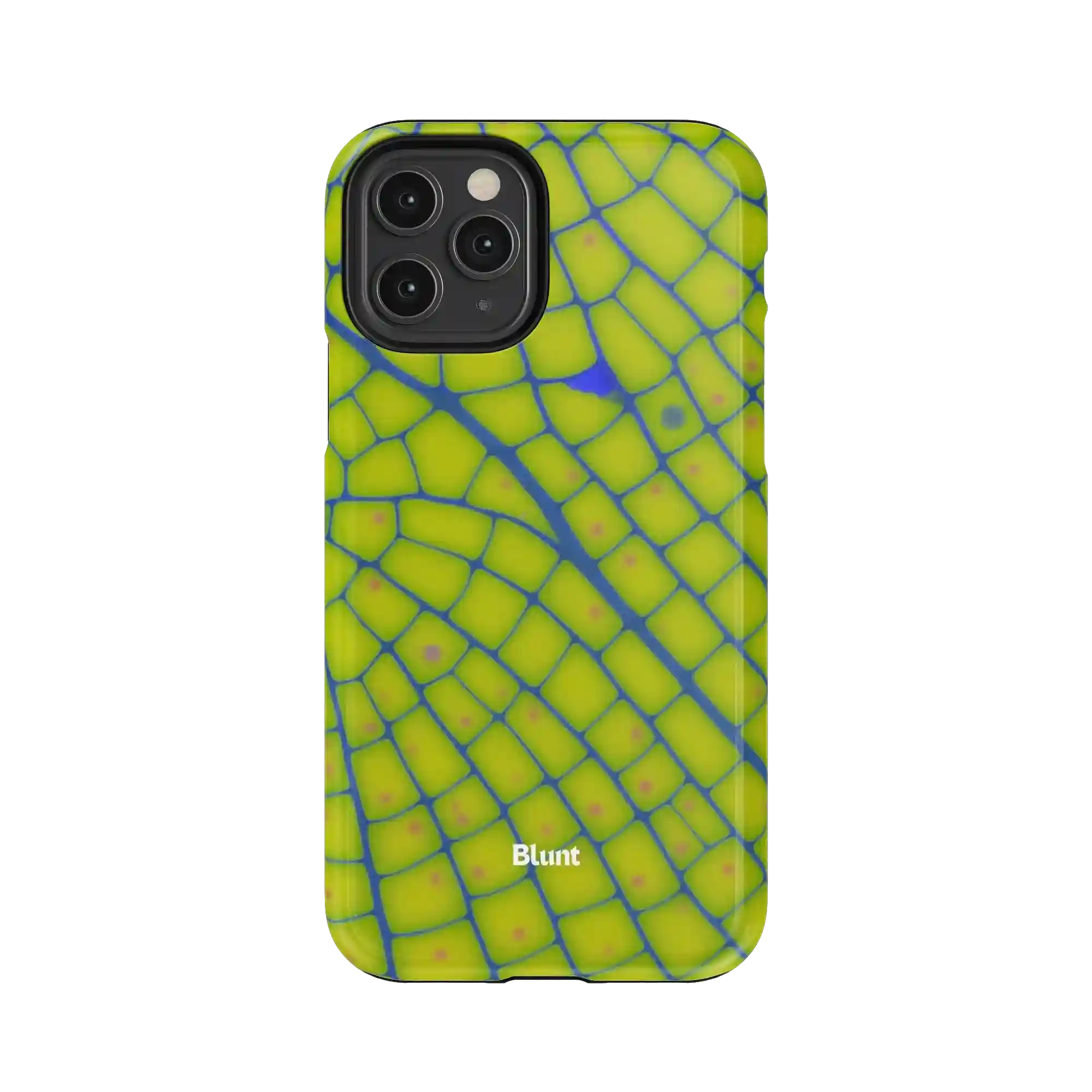 bluntcasesonline.com