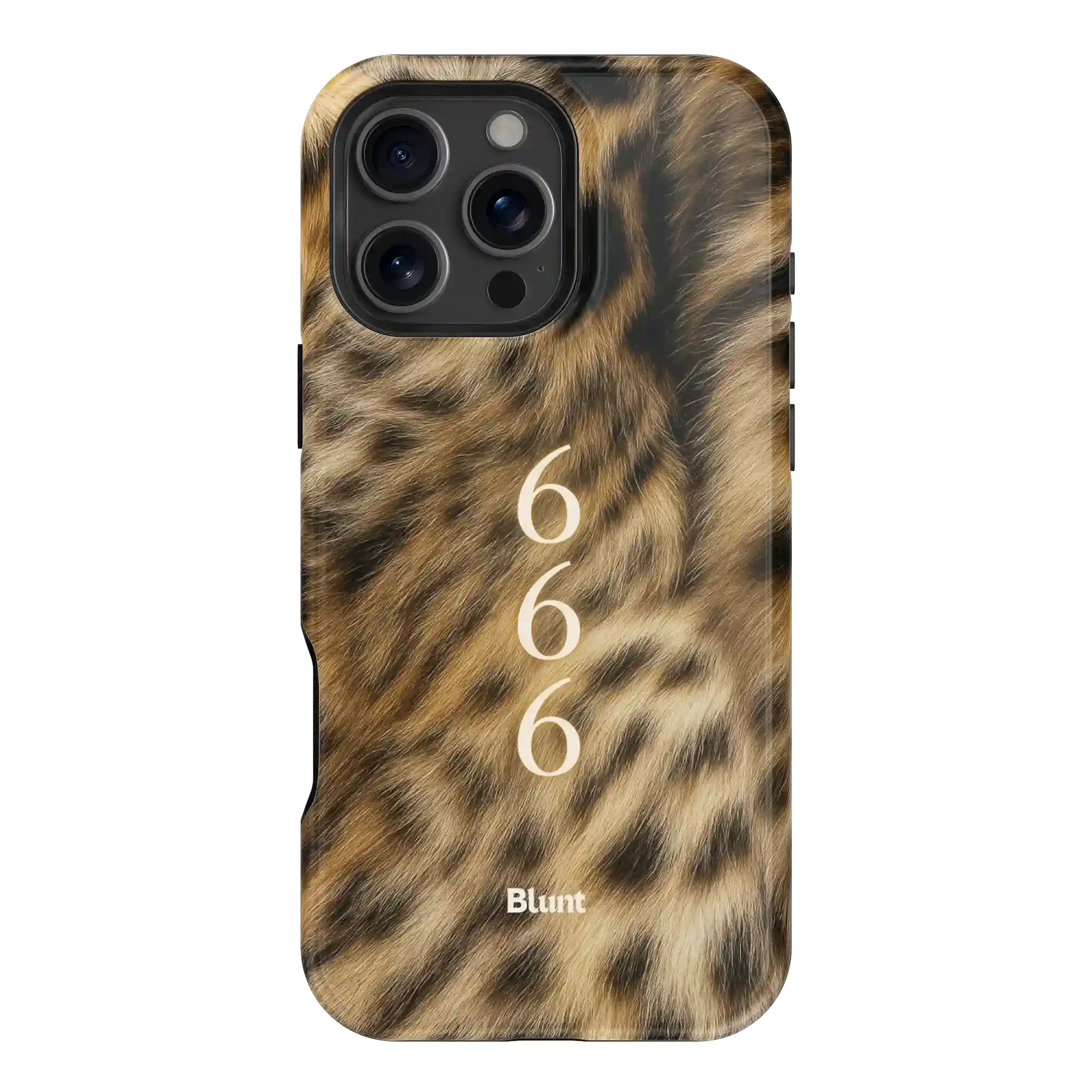bluntcasesonline.com