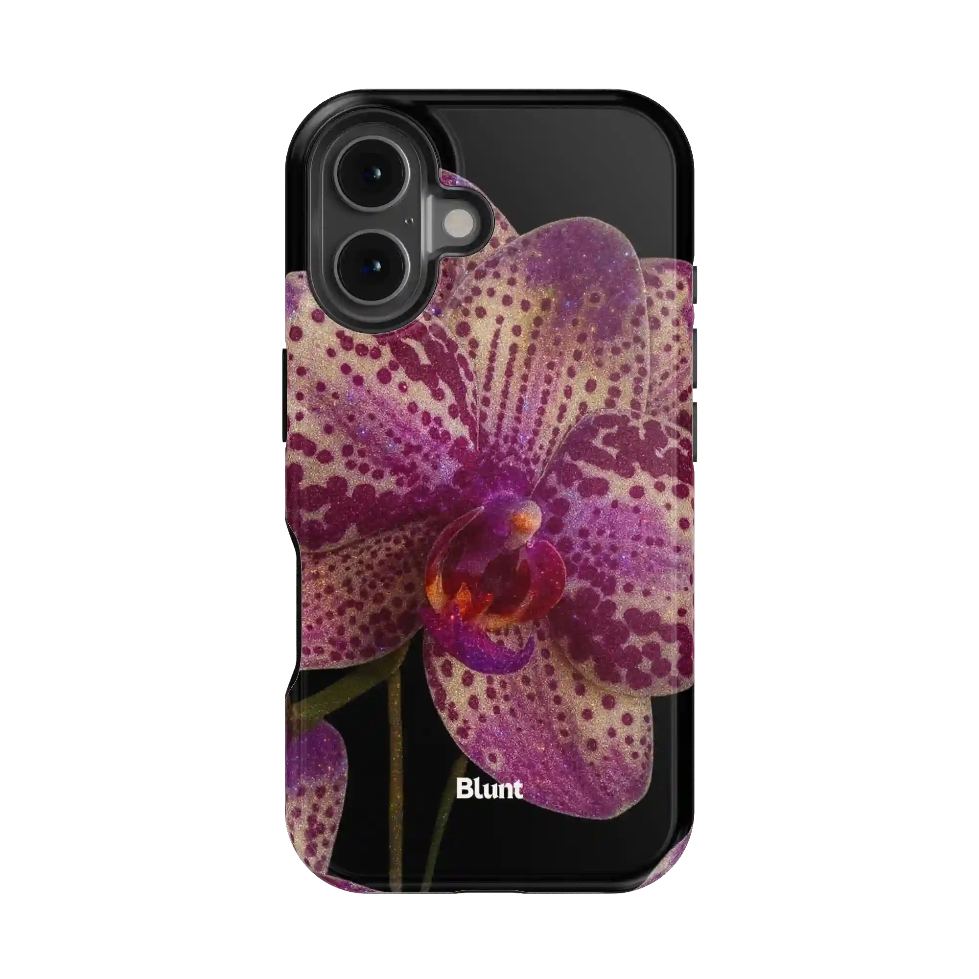 bluntcasesonline.com