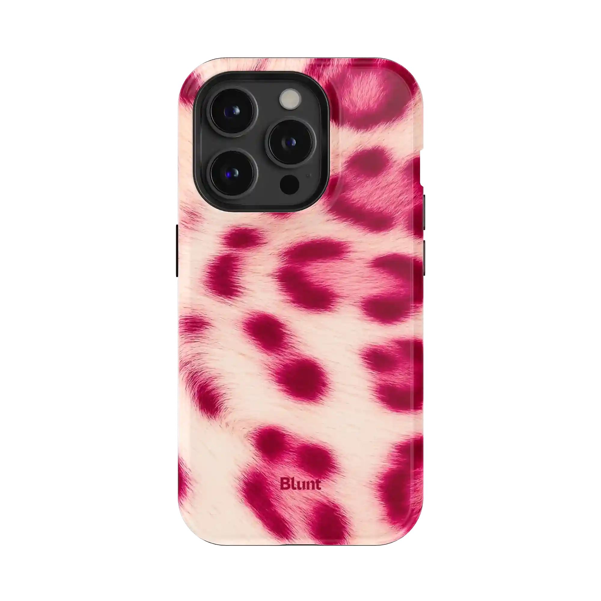 bluntcasesonline.com