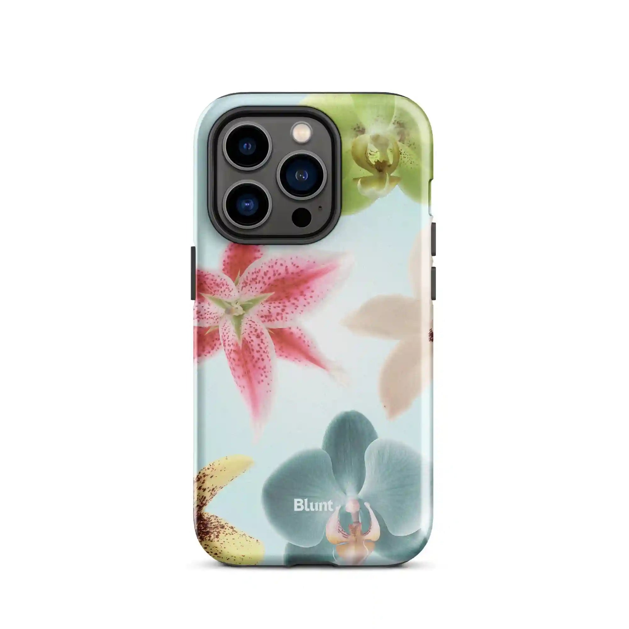 bluntcasesonline.com