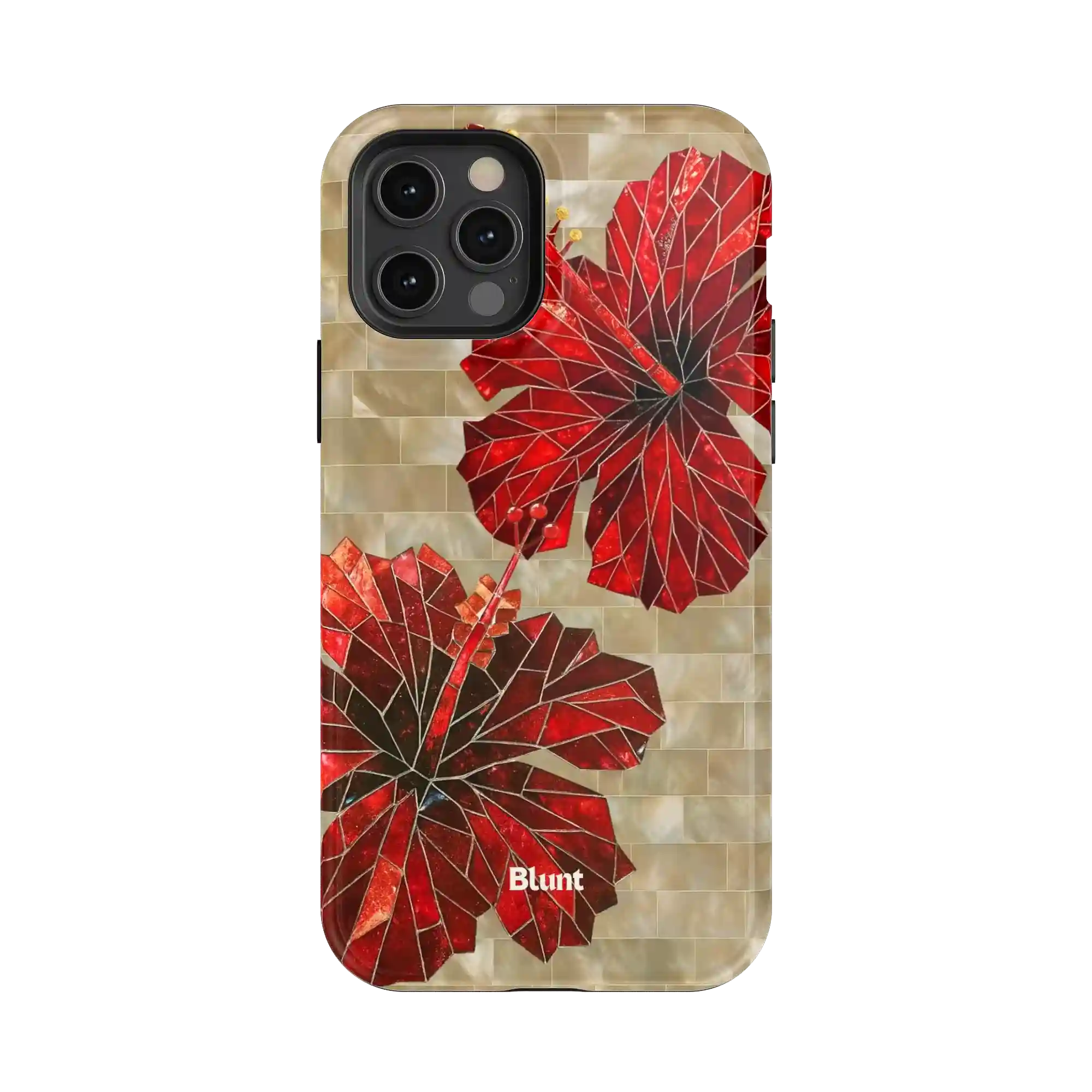 bluntcasesonline.com