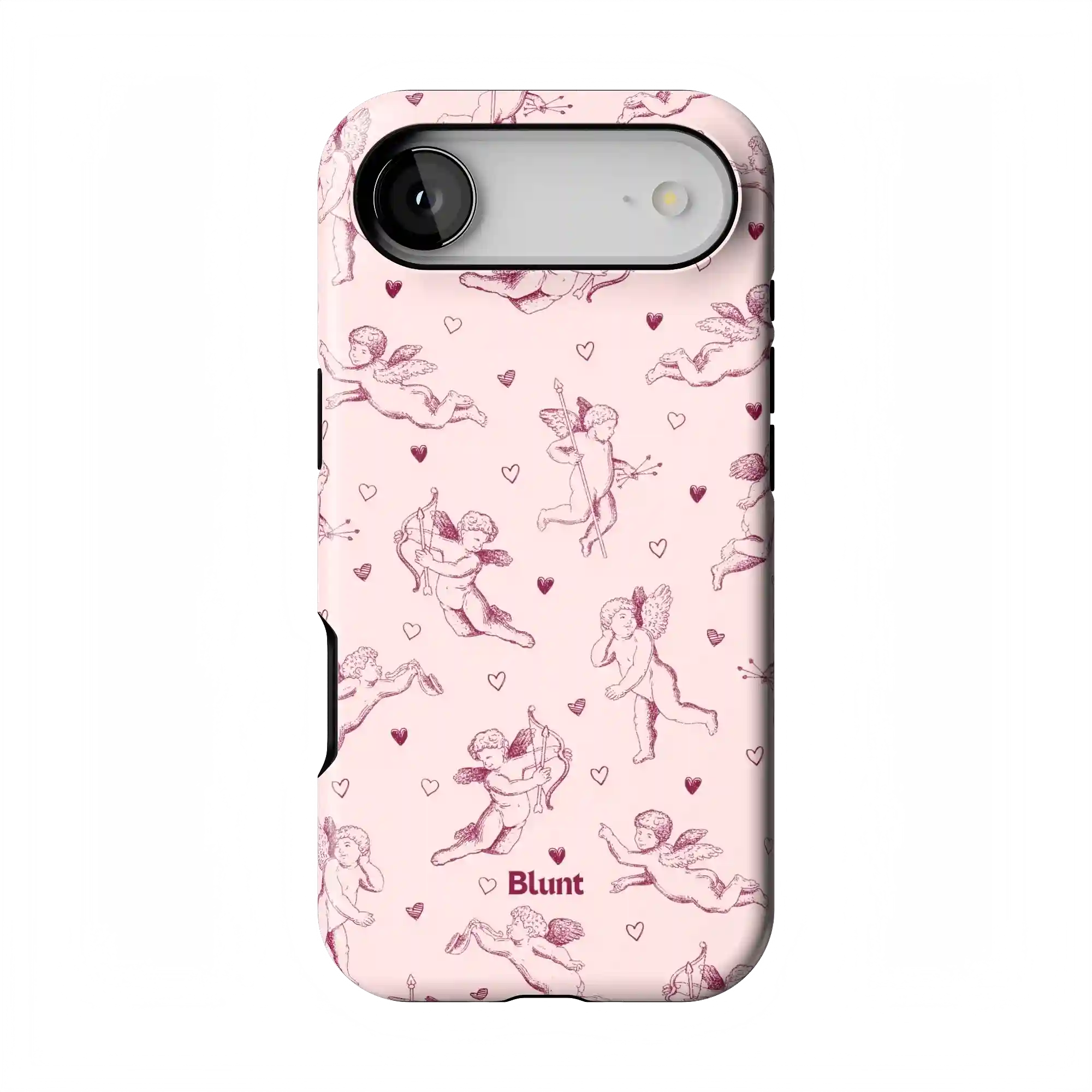 bluntcasesonline.com