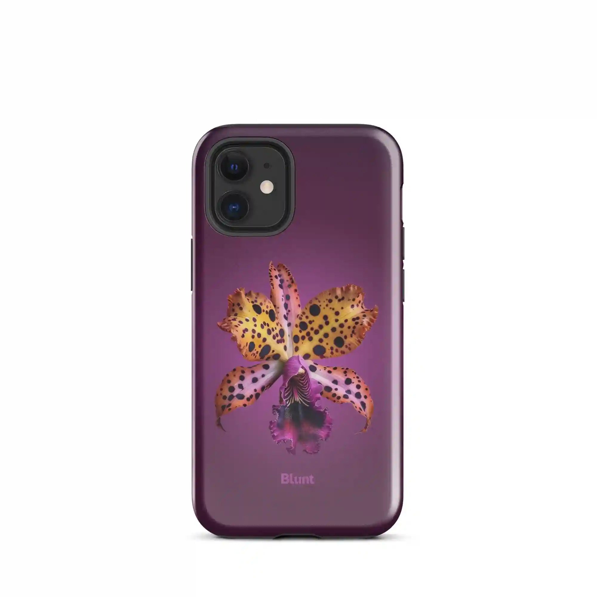 bluntcasesonline.com