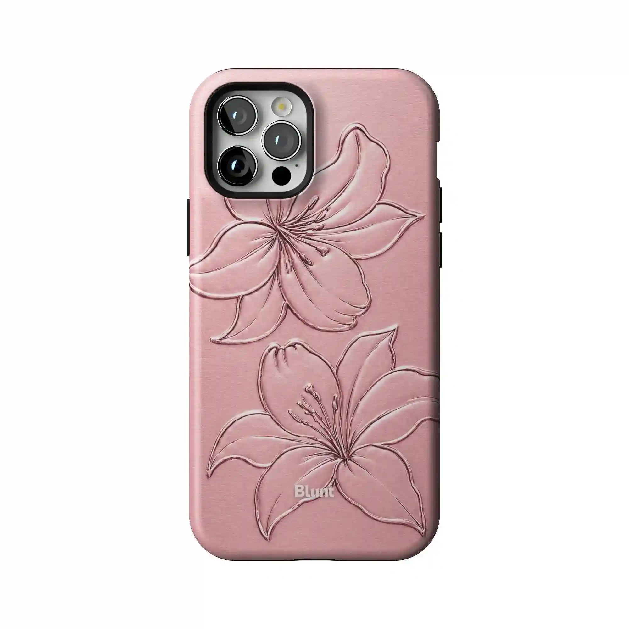 bluntcasesonline.com