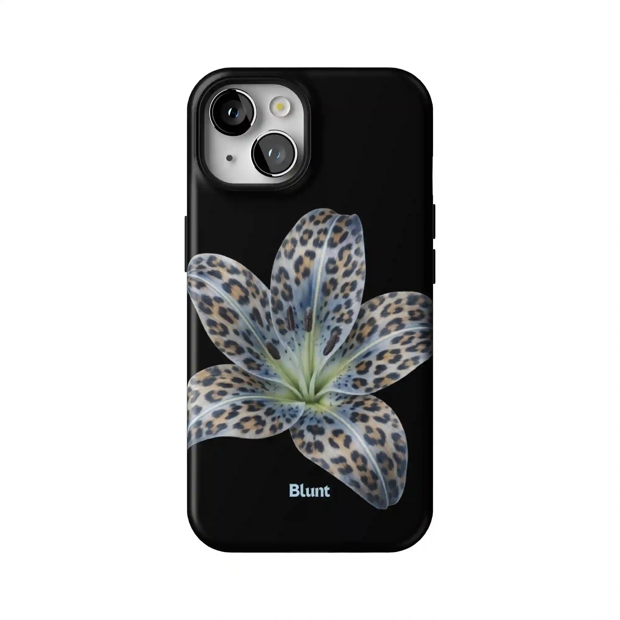bluntcasesonline.com