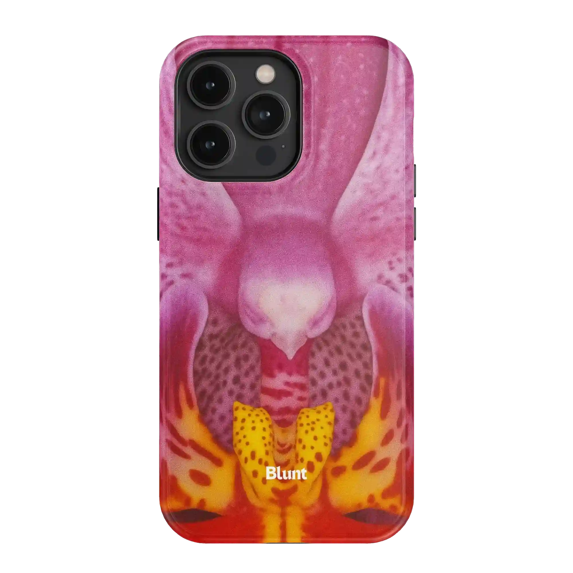 bluntcasesonline.com