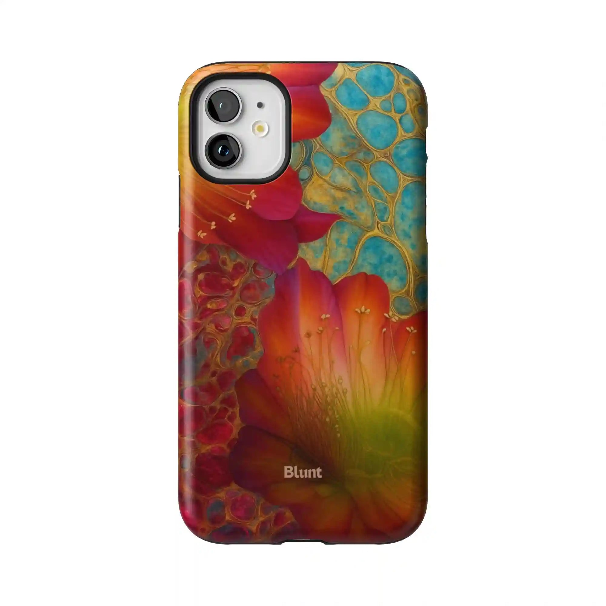 bluntcasesonline.com