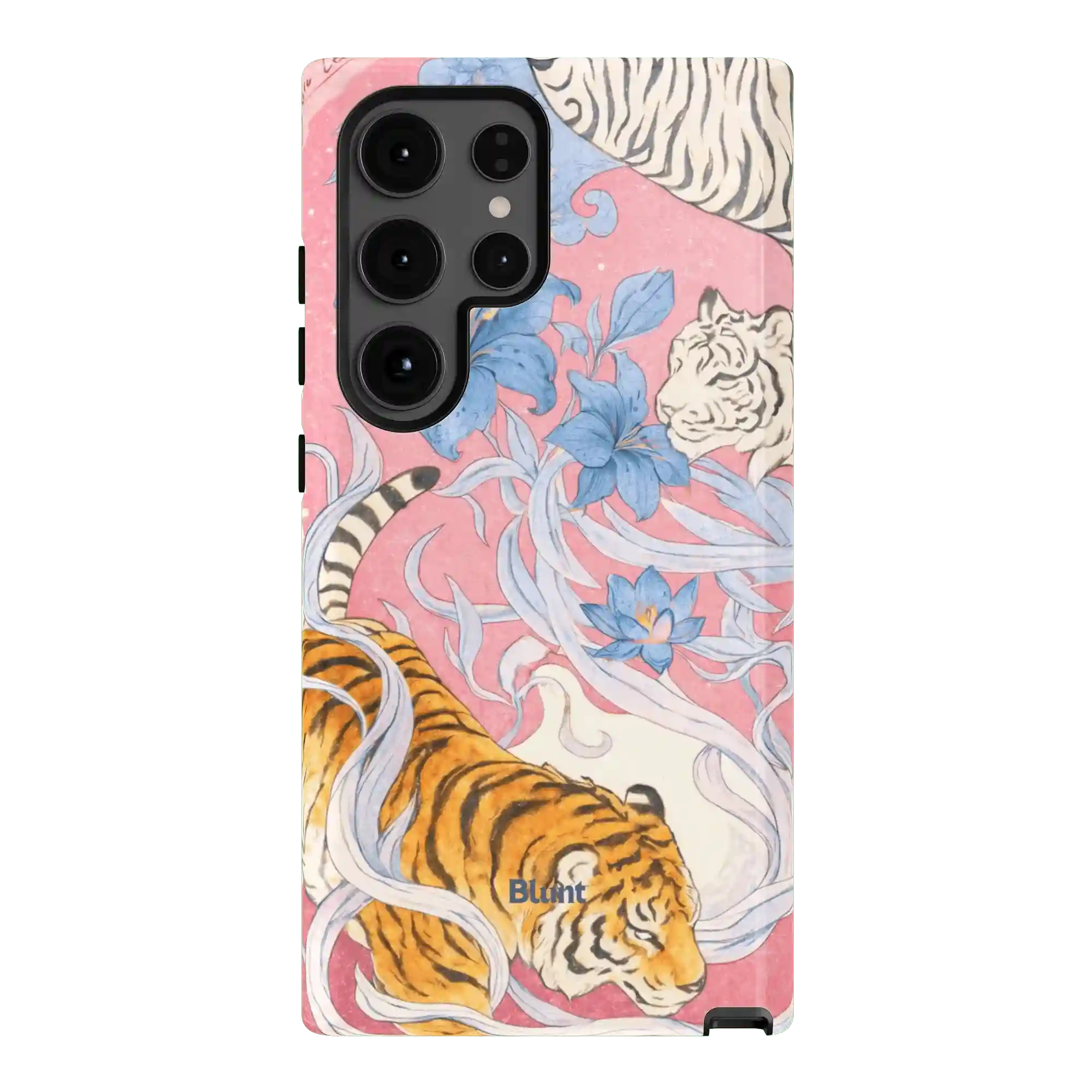 bluntcasesonline.com