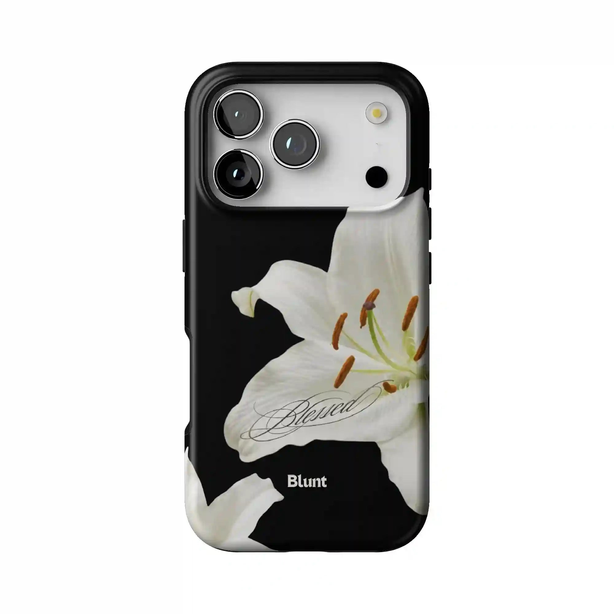 bluntcasesonline.com