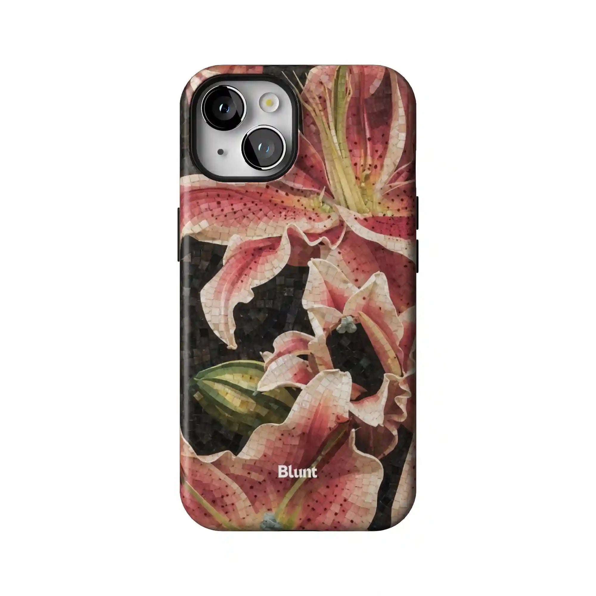 bluntcasesonline.com