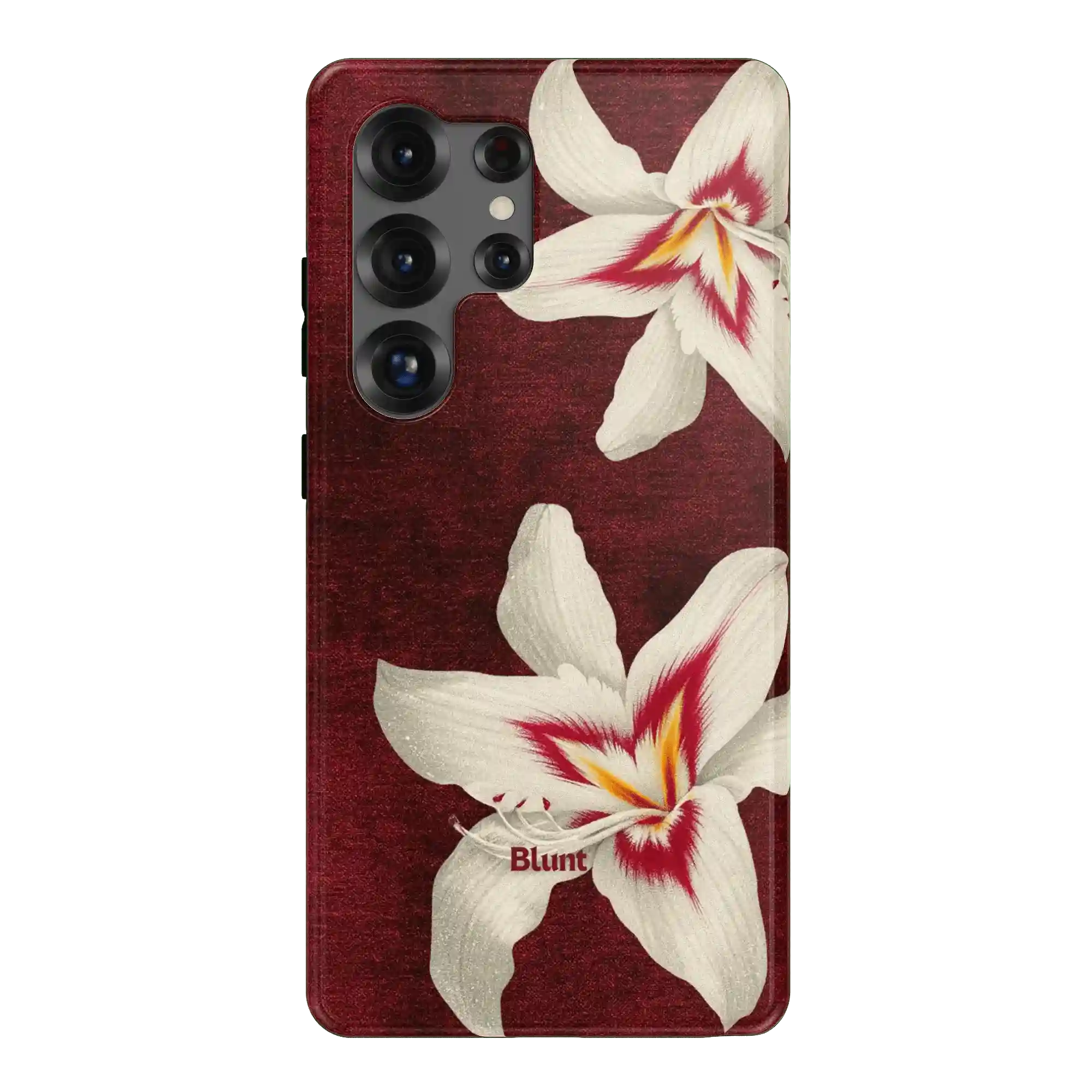 bluntcasesonline.com