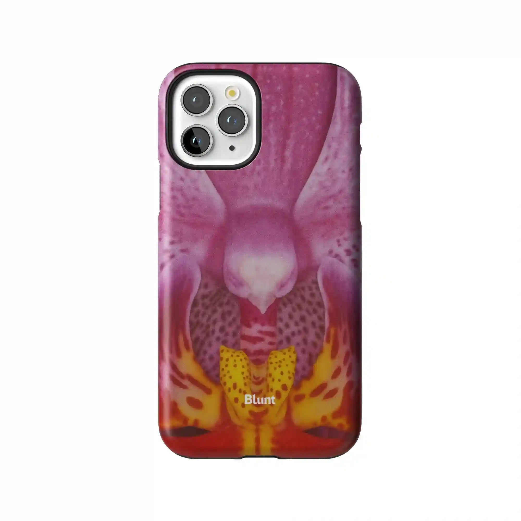 bluntcasesonline.com
