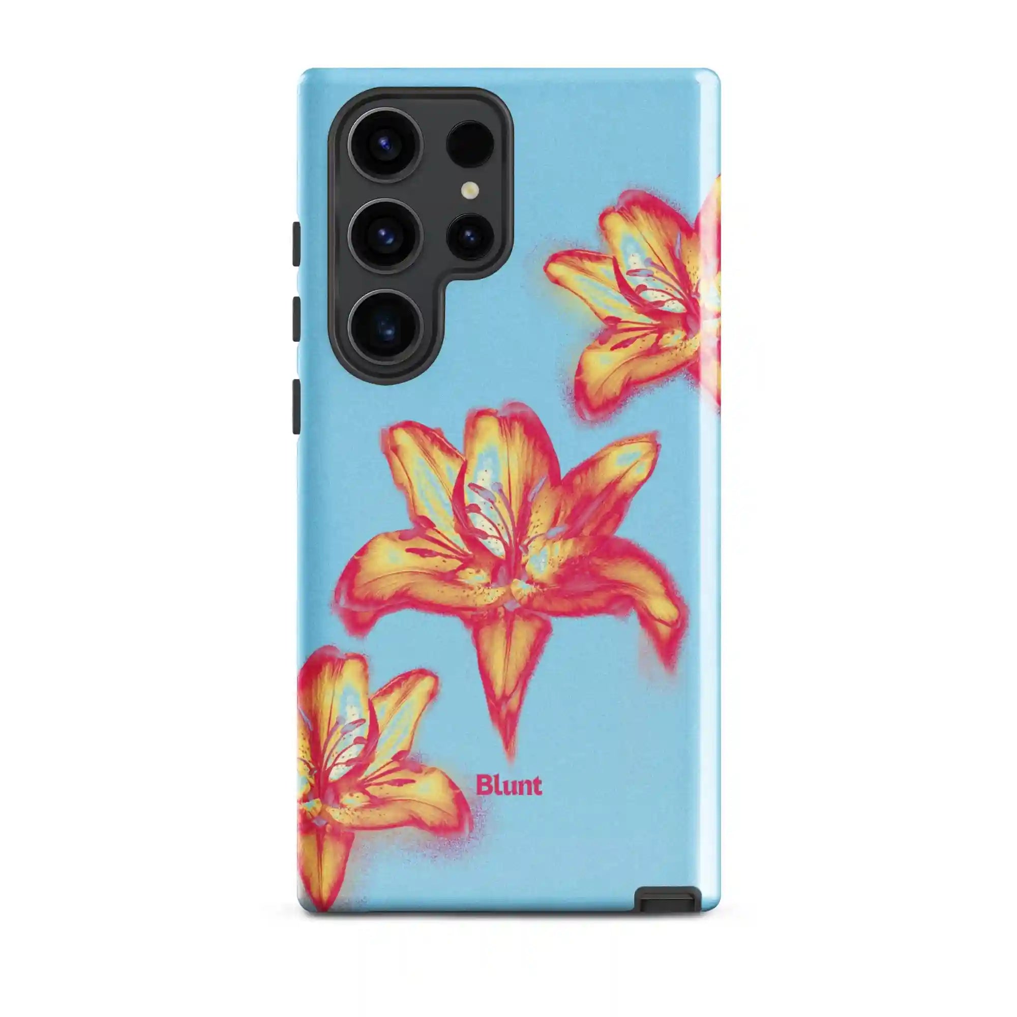 bluntcasesonline.com