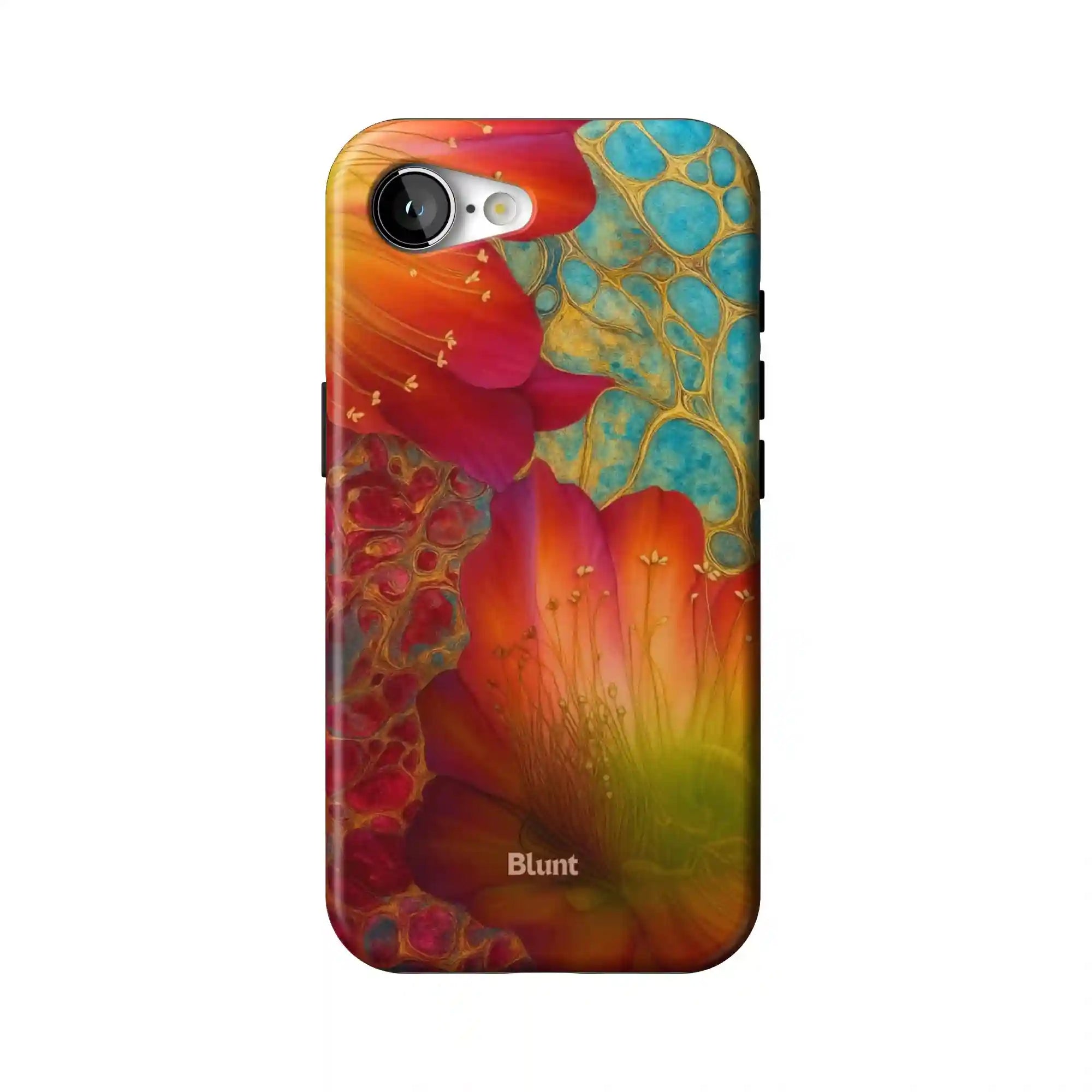 bluntcasesonline.com