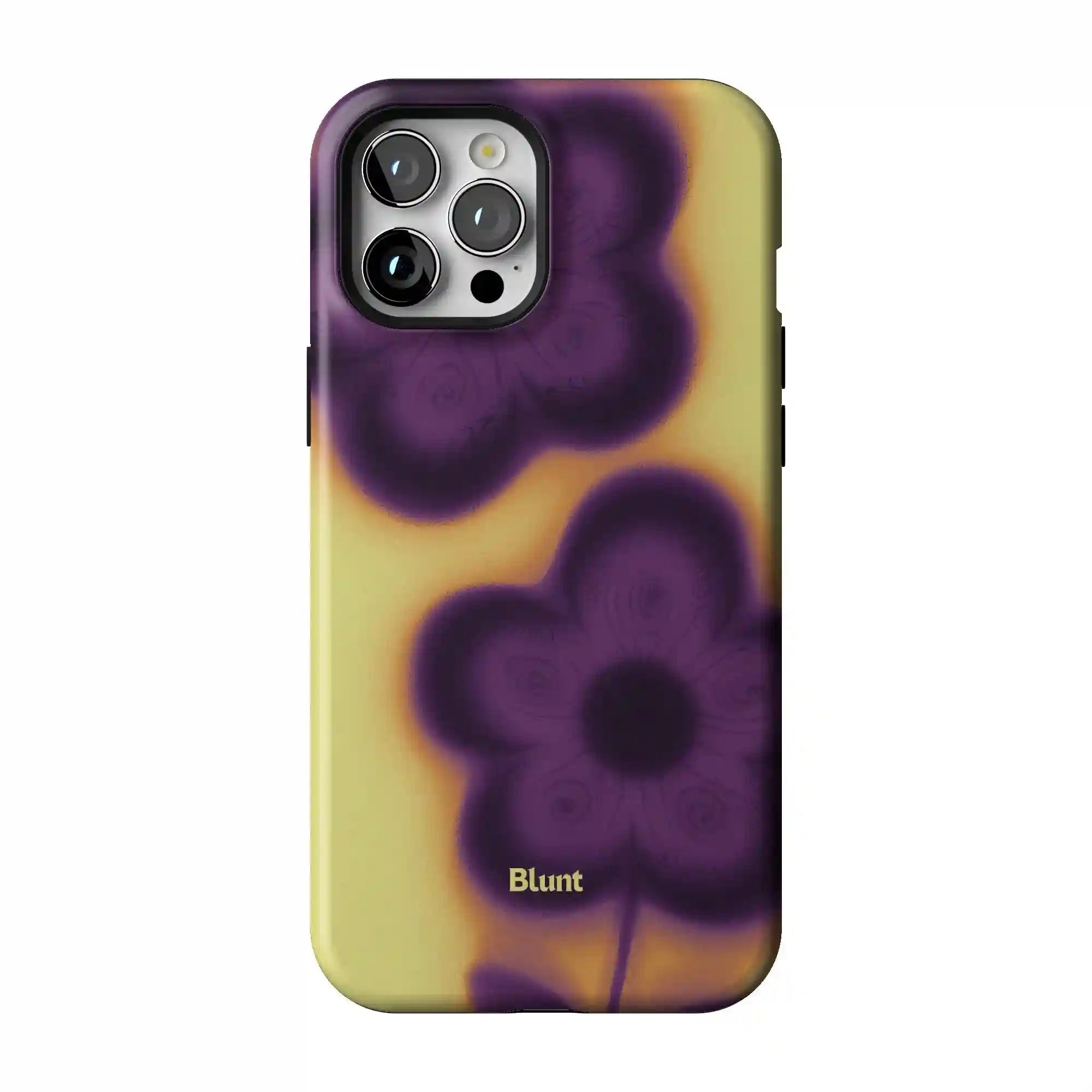 bluntcasesonline.com