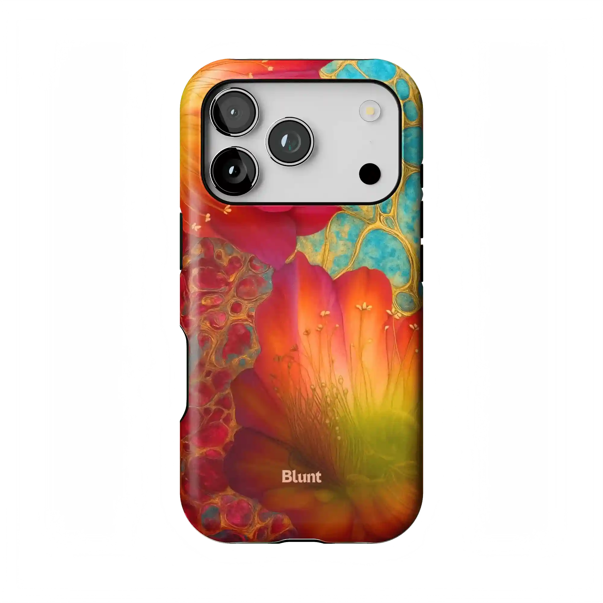 bluntcasesonline.com