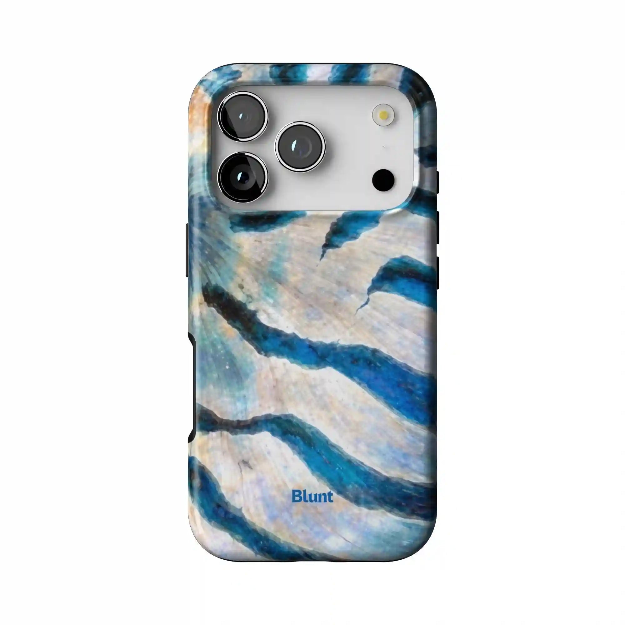 bluntcasesonline.com