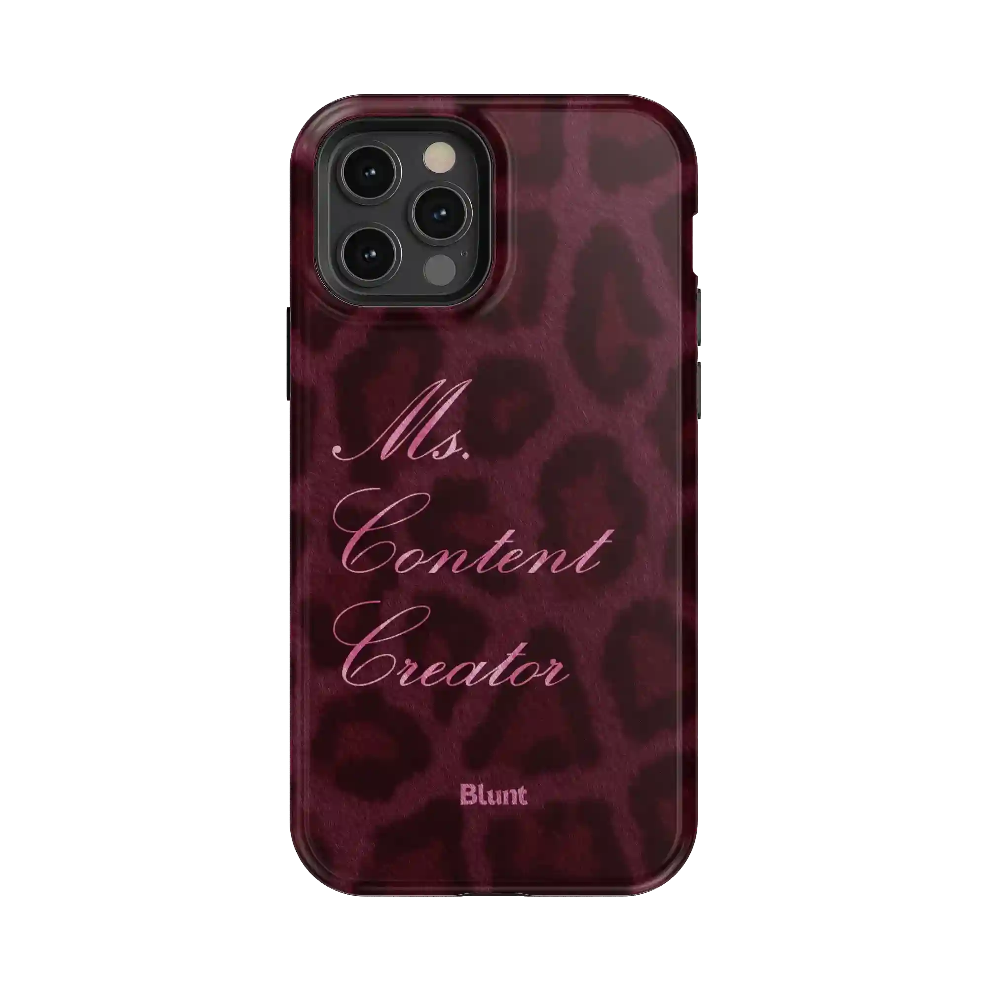 bluntcasesonline.com