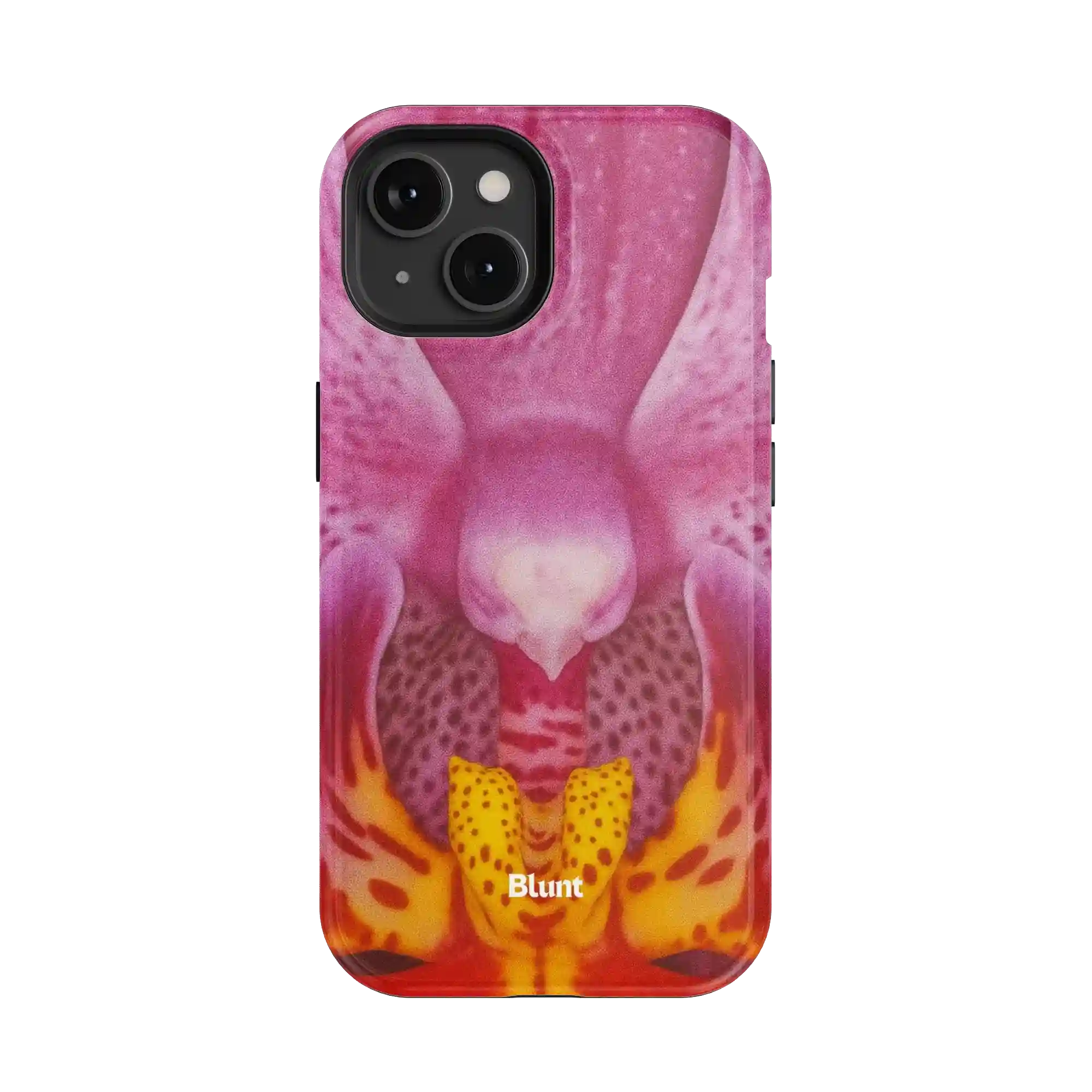 bluntcasesonline.com