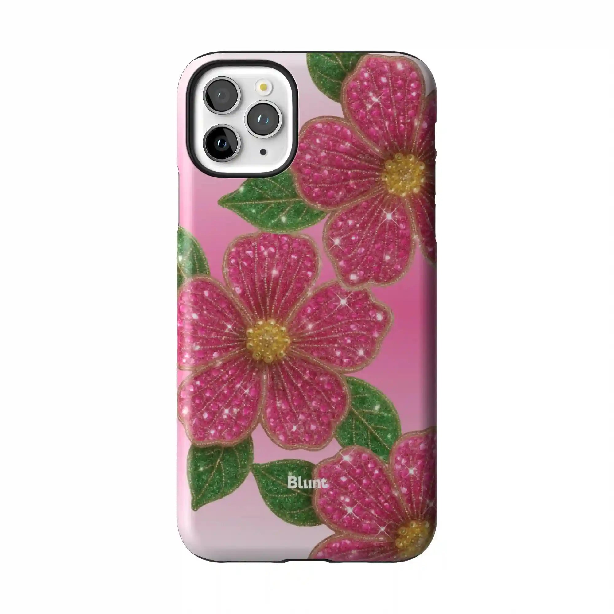bluntcasesonline.com