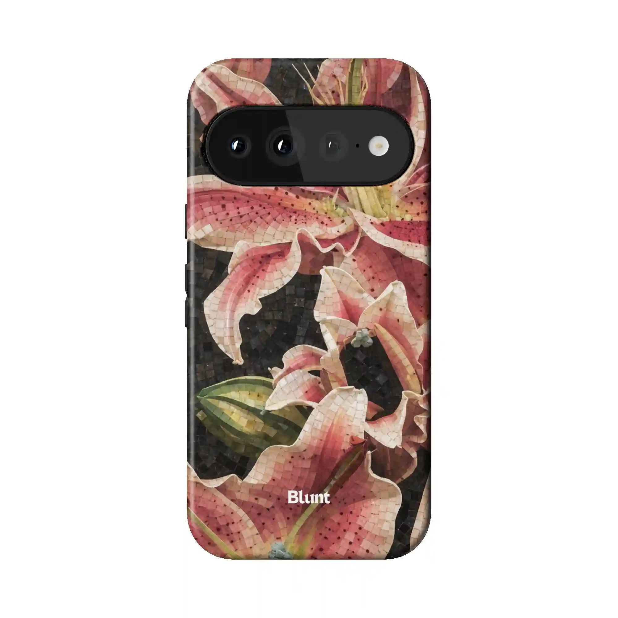 bluntcasesonline.com