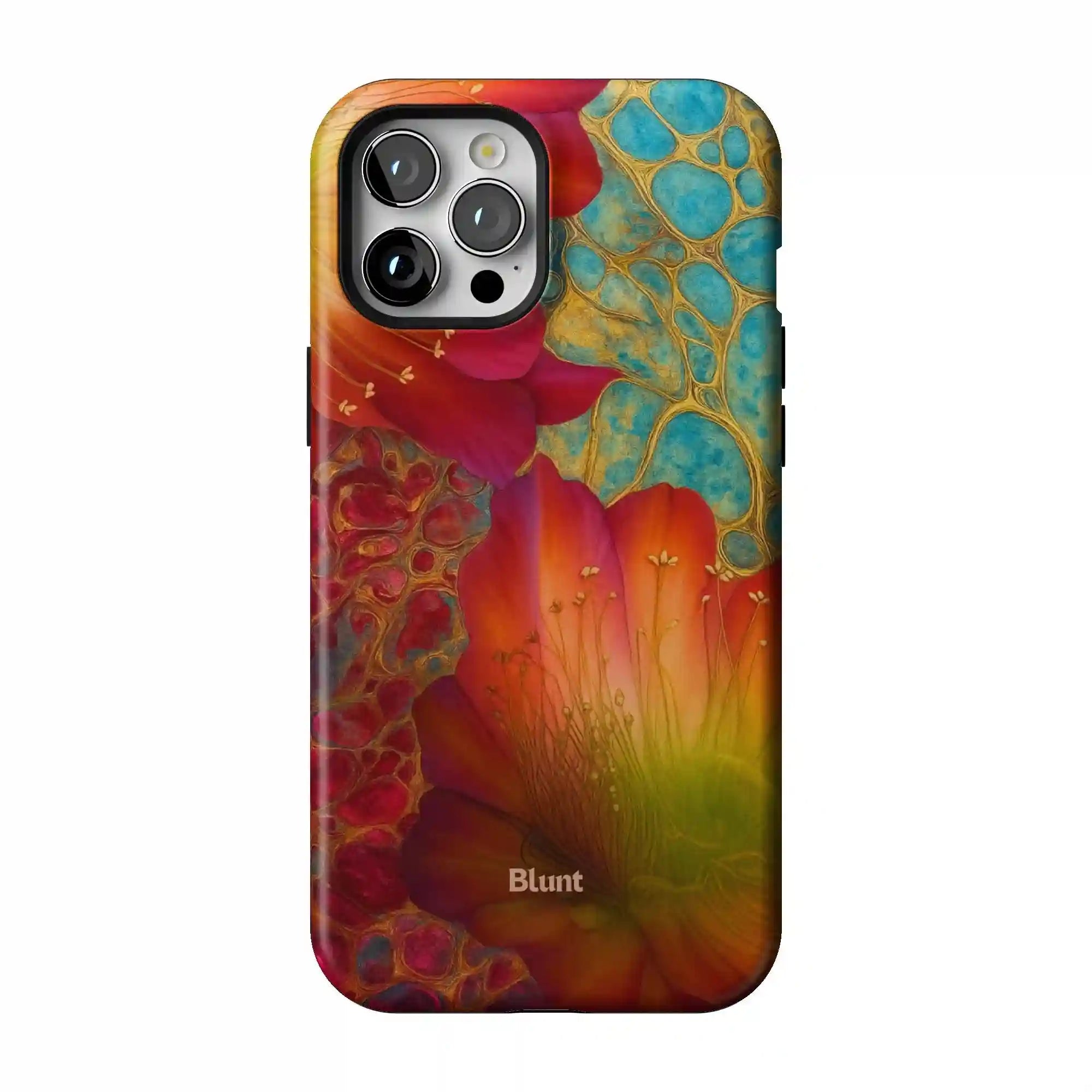 bluntcasesonline.com
