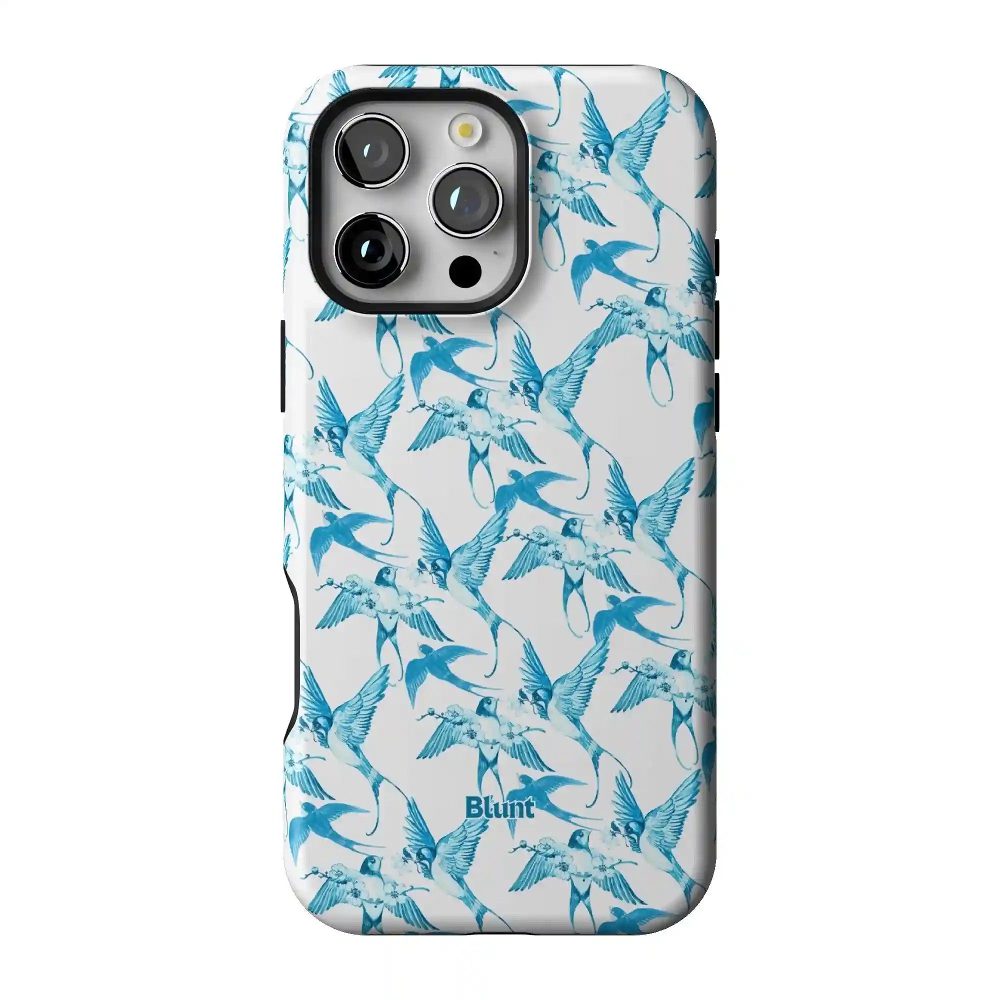 bluntcasesonline.com
