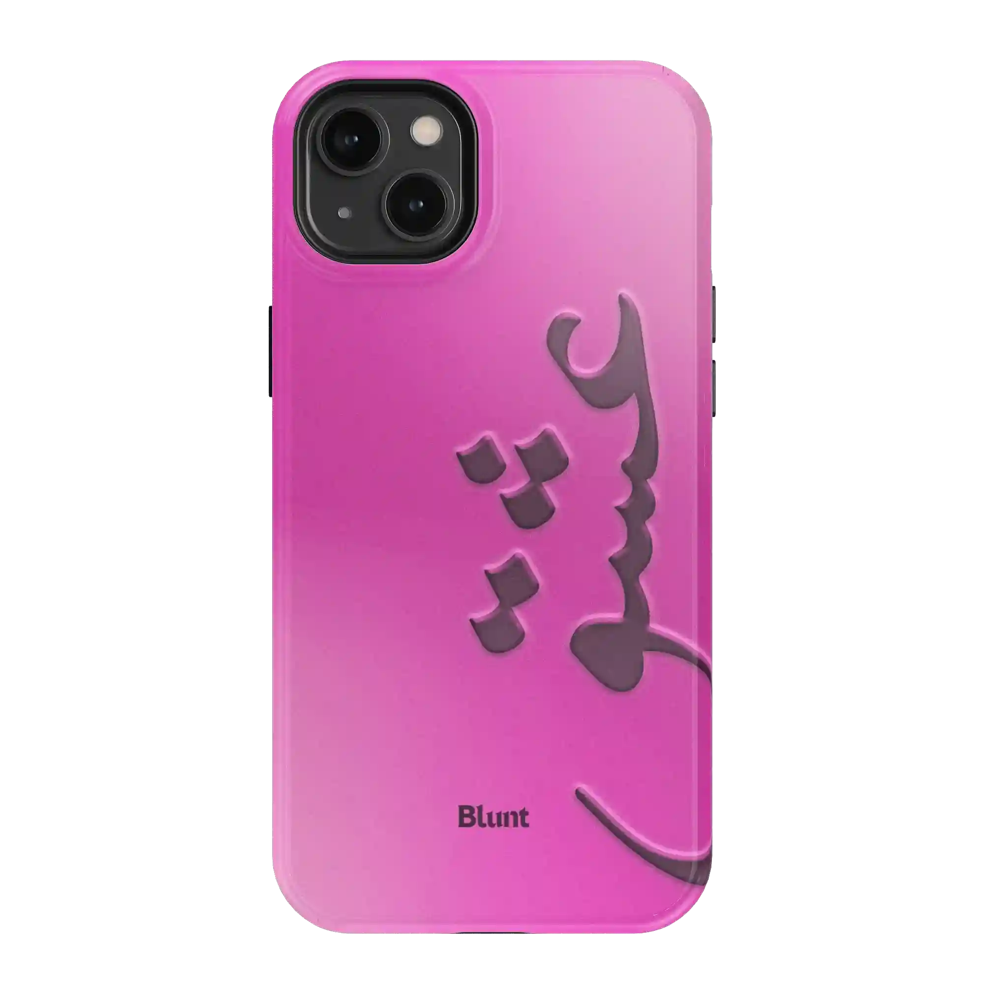bluntcasesonline.com