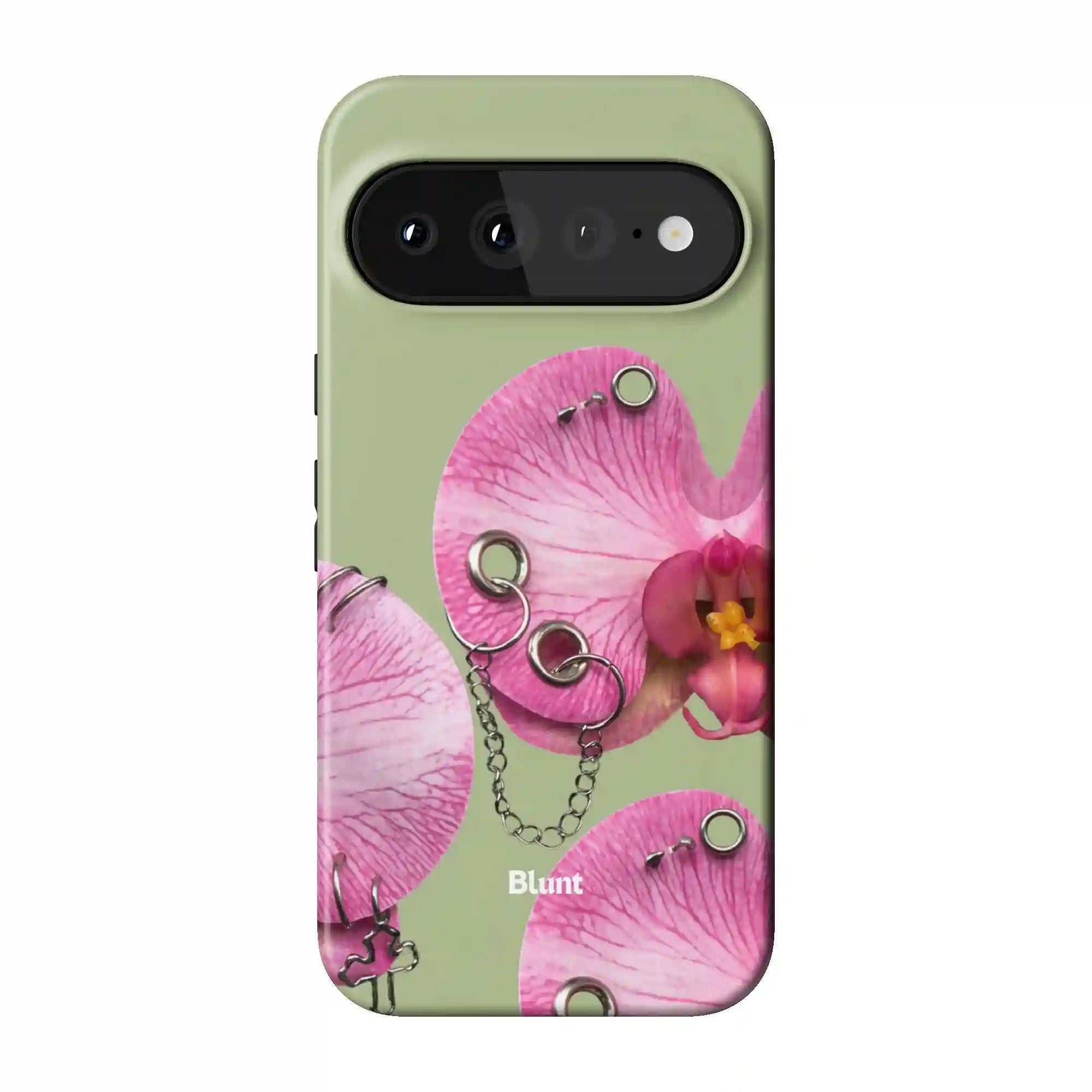 bluntcasesonline.com