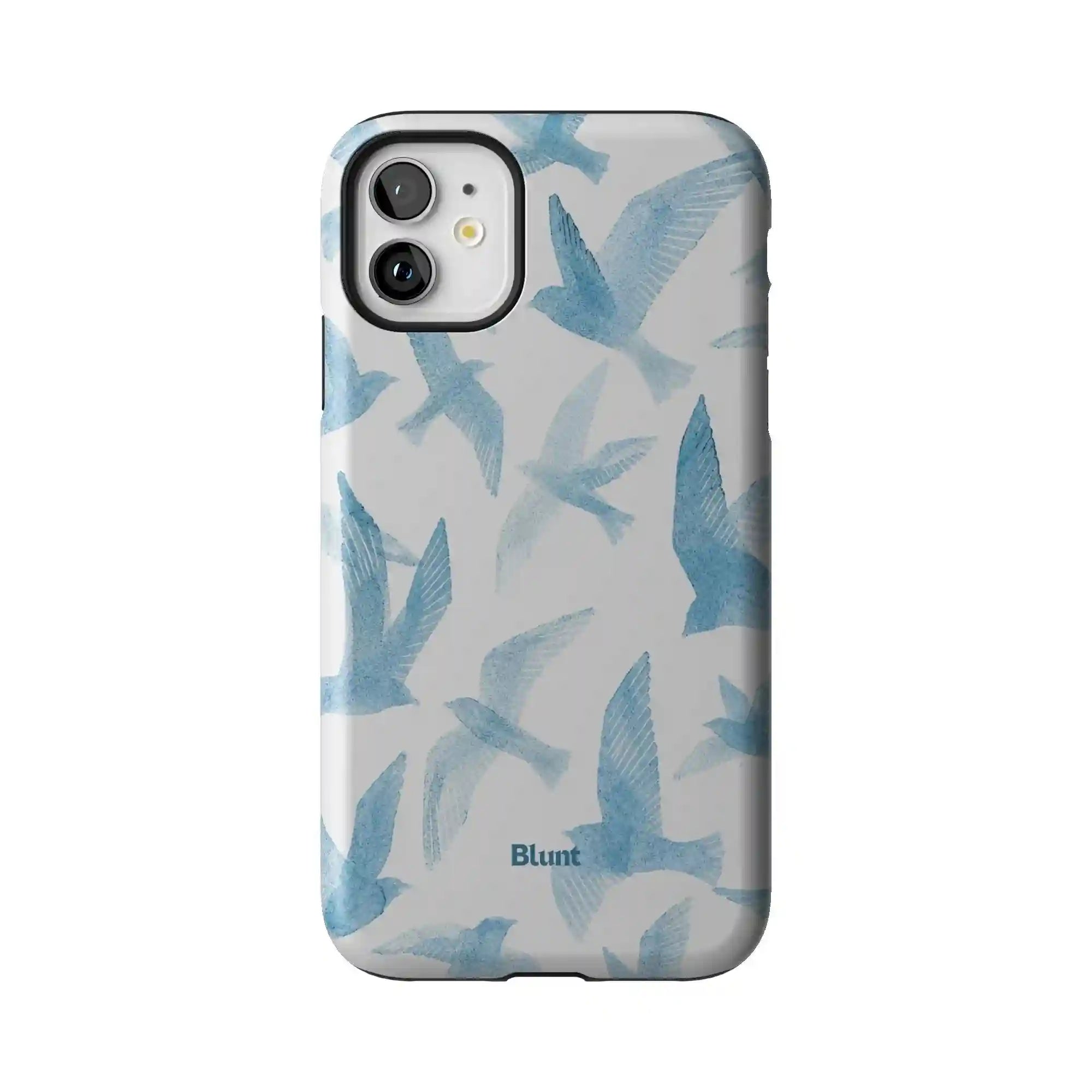 bluntcasesonline.com