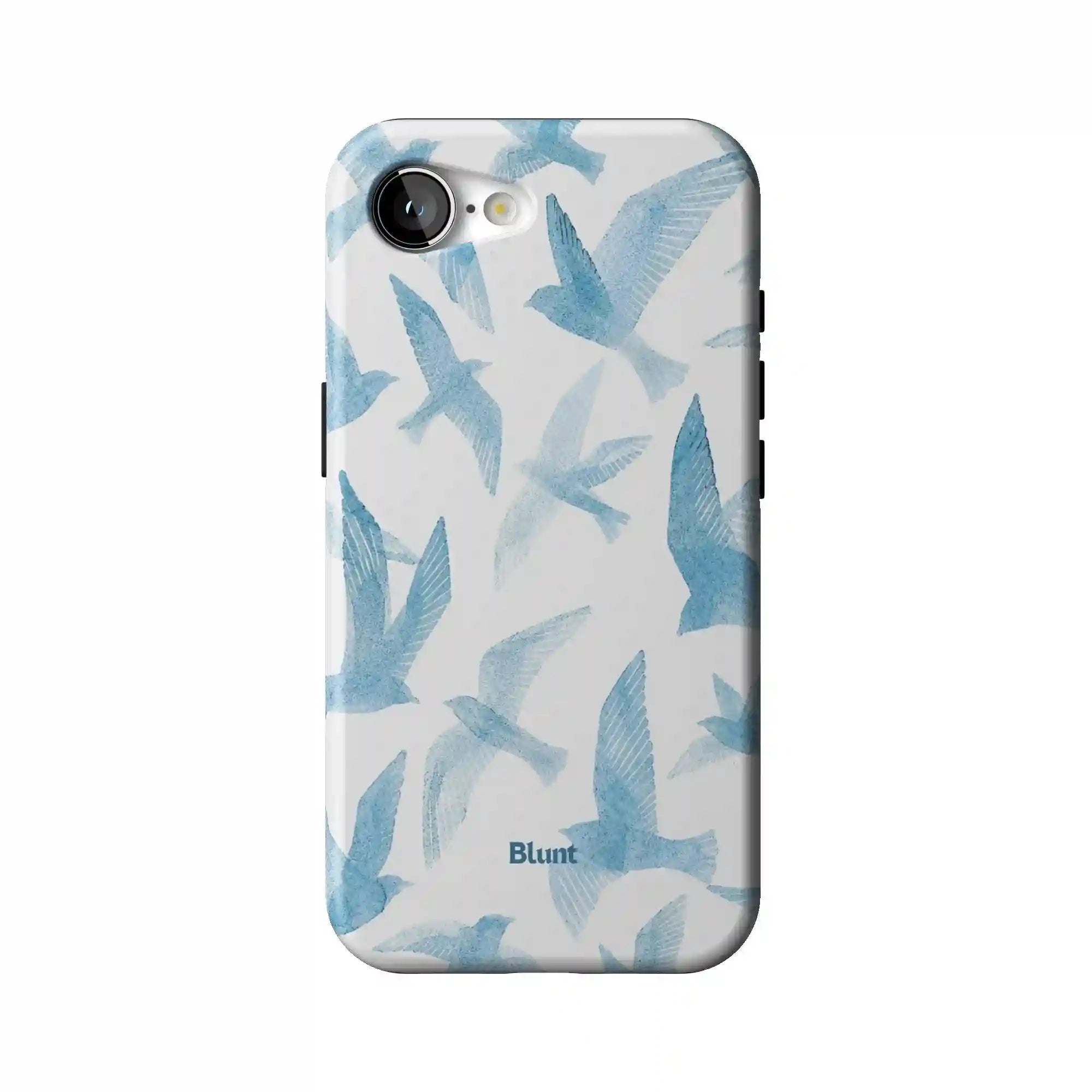 bluntcasesonline.com