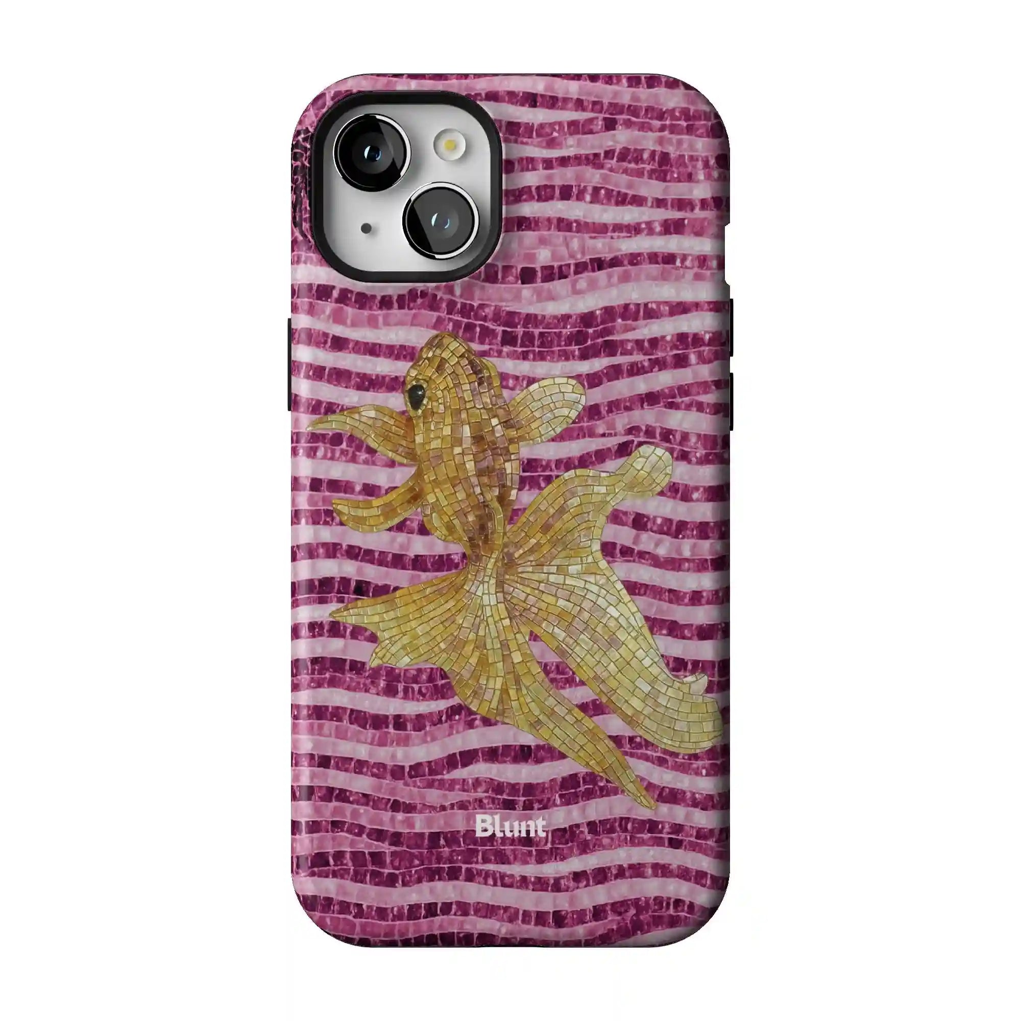 bluntcasesonline.com
