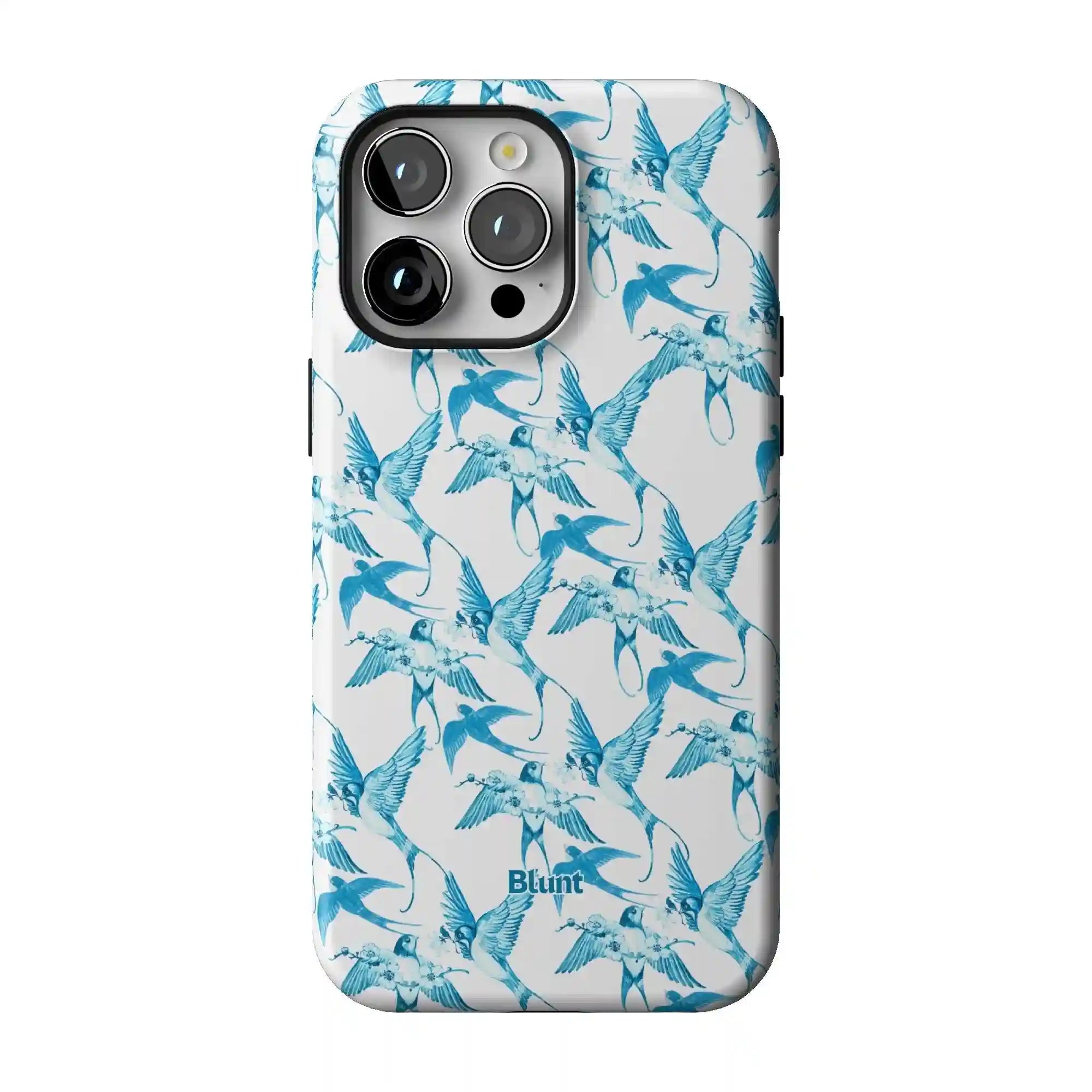 bluntcasesonline.com