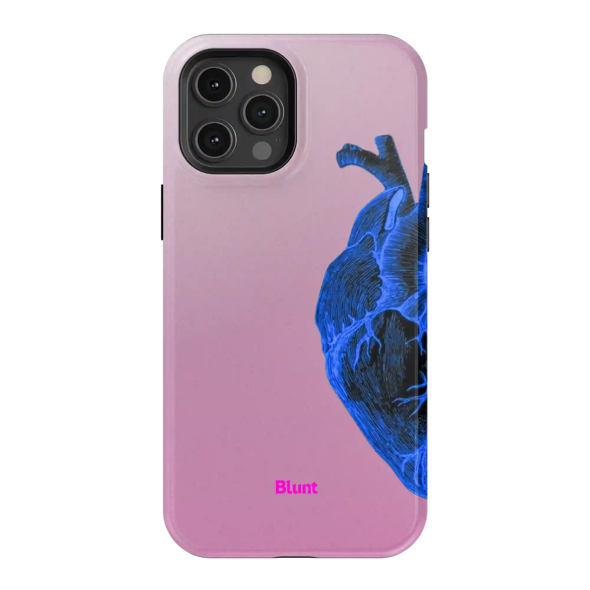 bluntcasesonline.com